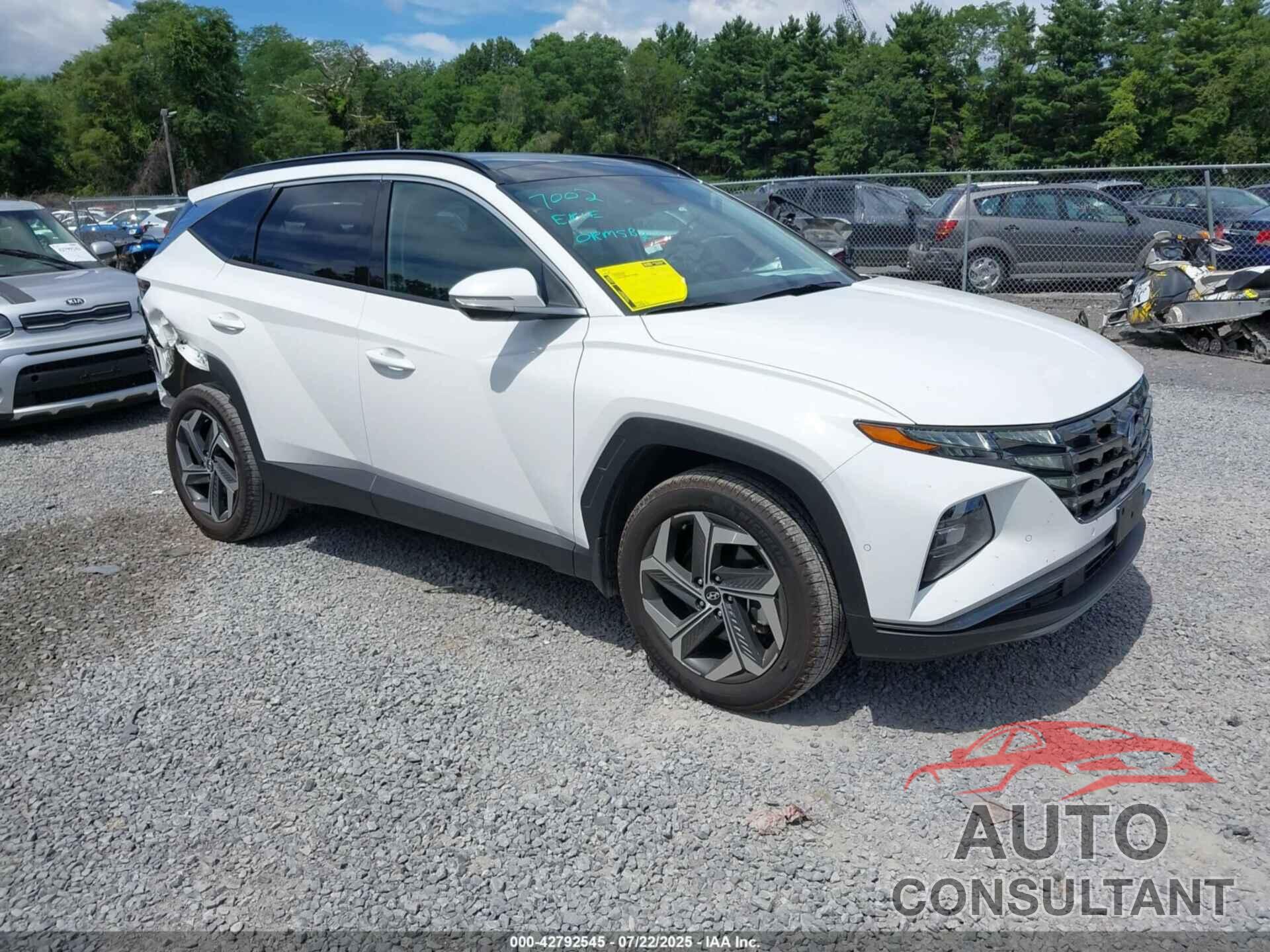 HYUNDAI TUCSON 2024 - 5NMJECDE4RH379689