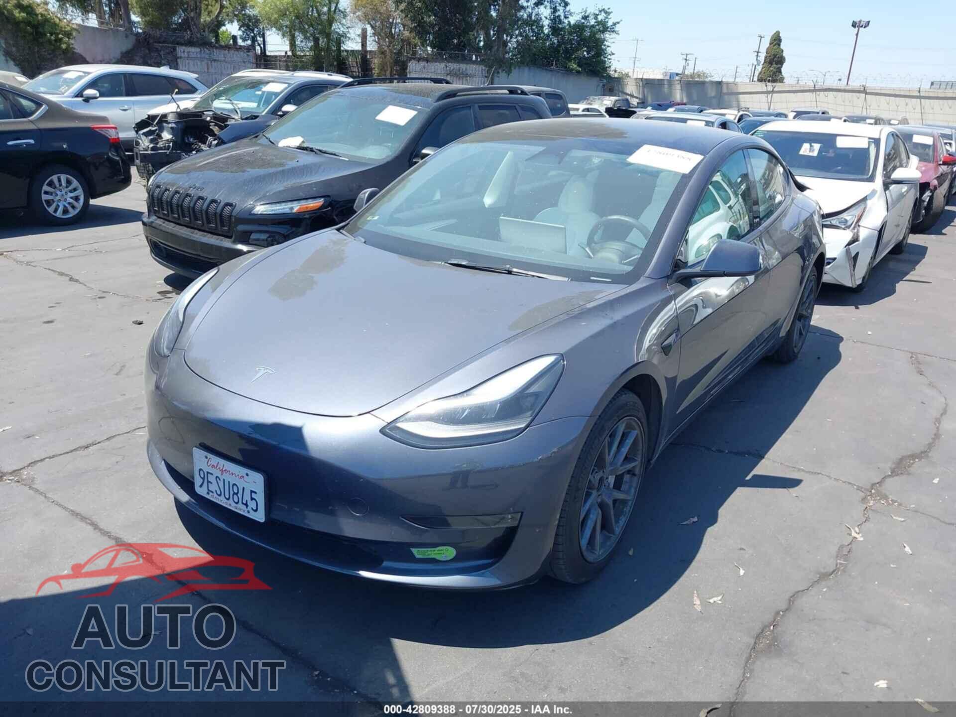 TESLA MODEL 3 2023 - 5YJ3E1EB0PF386199