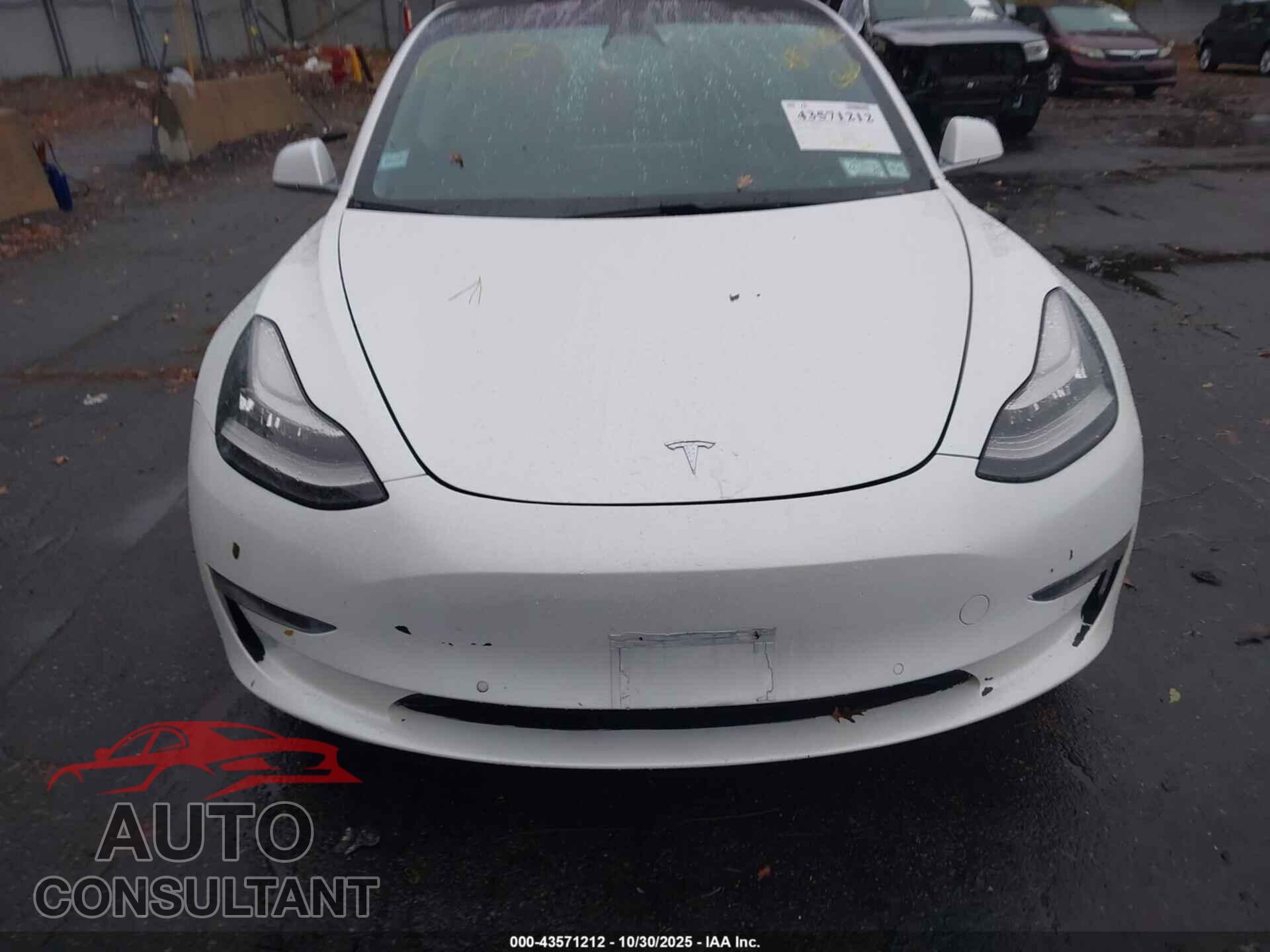 TESLA MODEL 3 2019 - 5YJ3E1EB0KF493830
