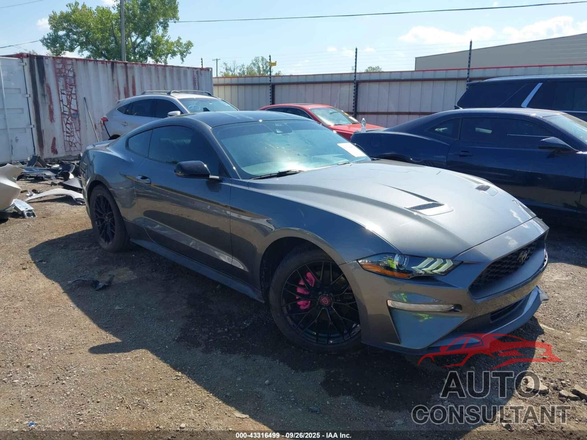 FORD MUSTANG 2023 - 1FA6P8TH9P5113535
