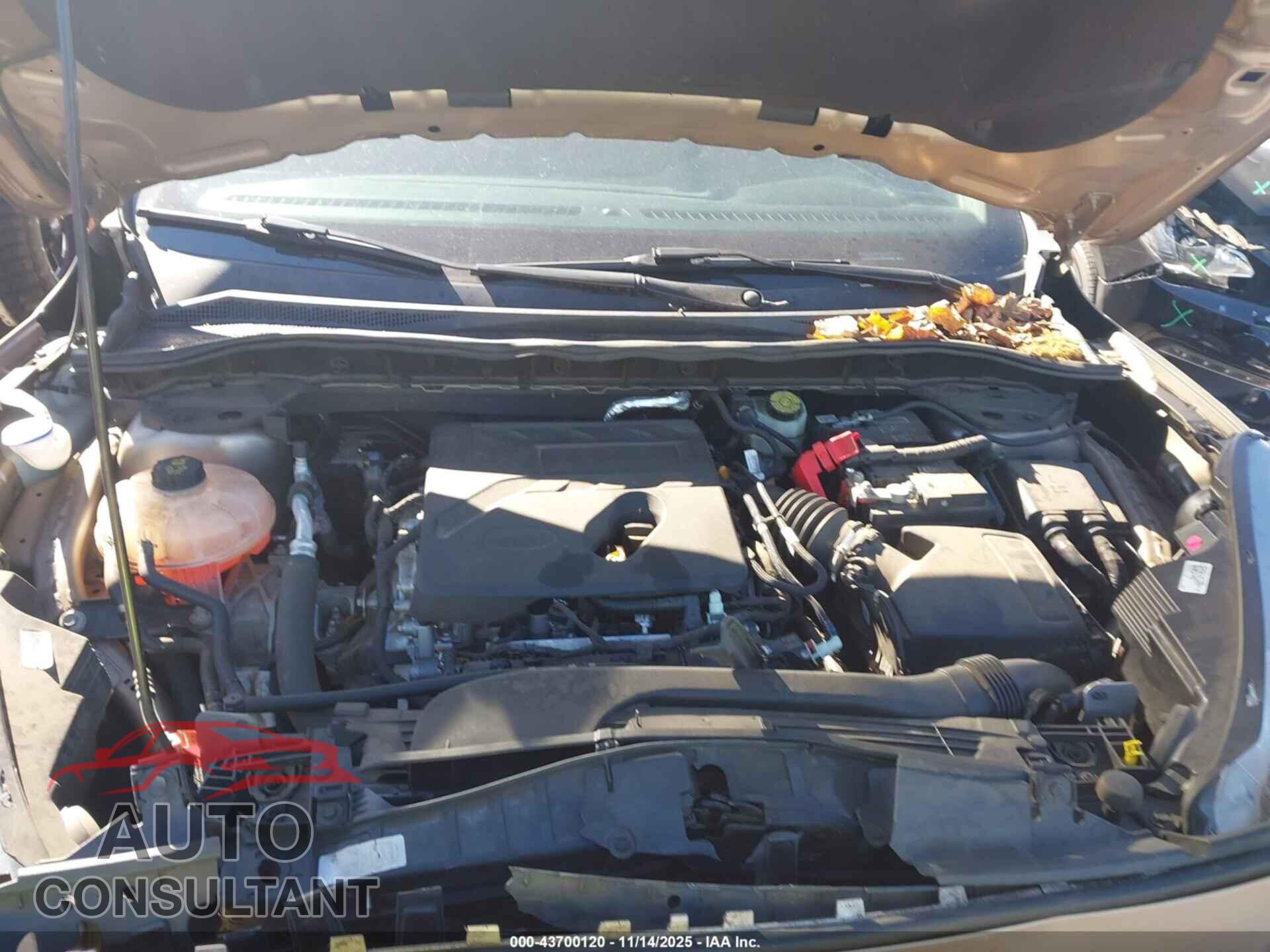 FORD ESCAPE 2020 - 1FMCU0F66LUA22705