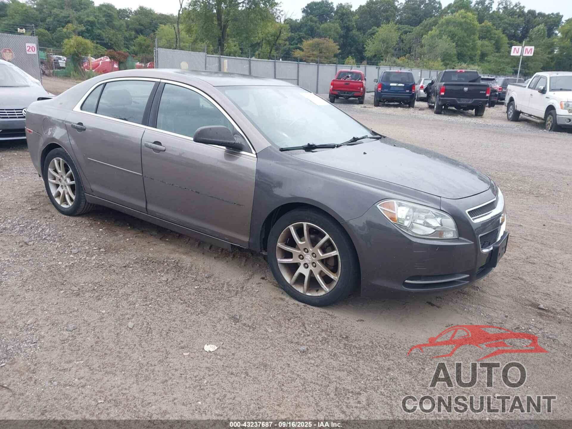 CHEVROLET MALIBU 2010 - 1G1ZA5EB4AF317718
