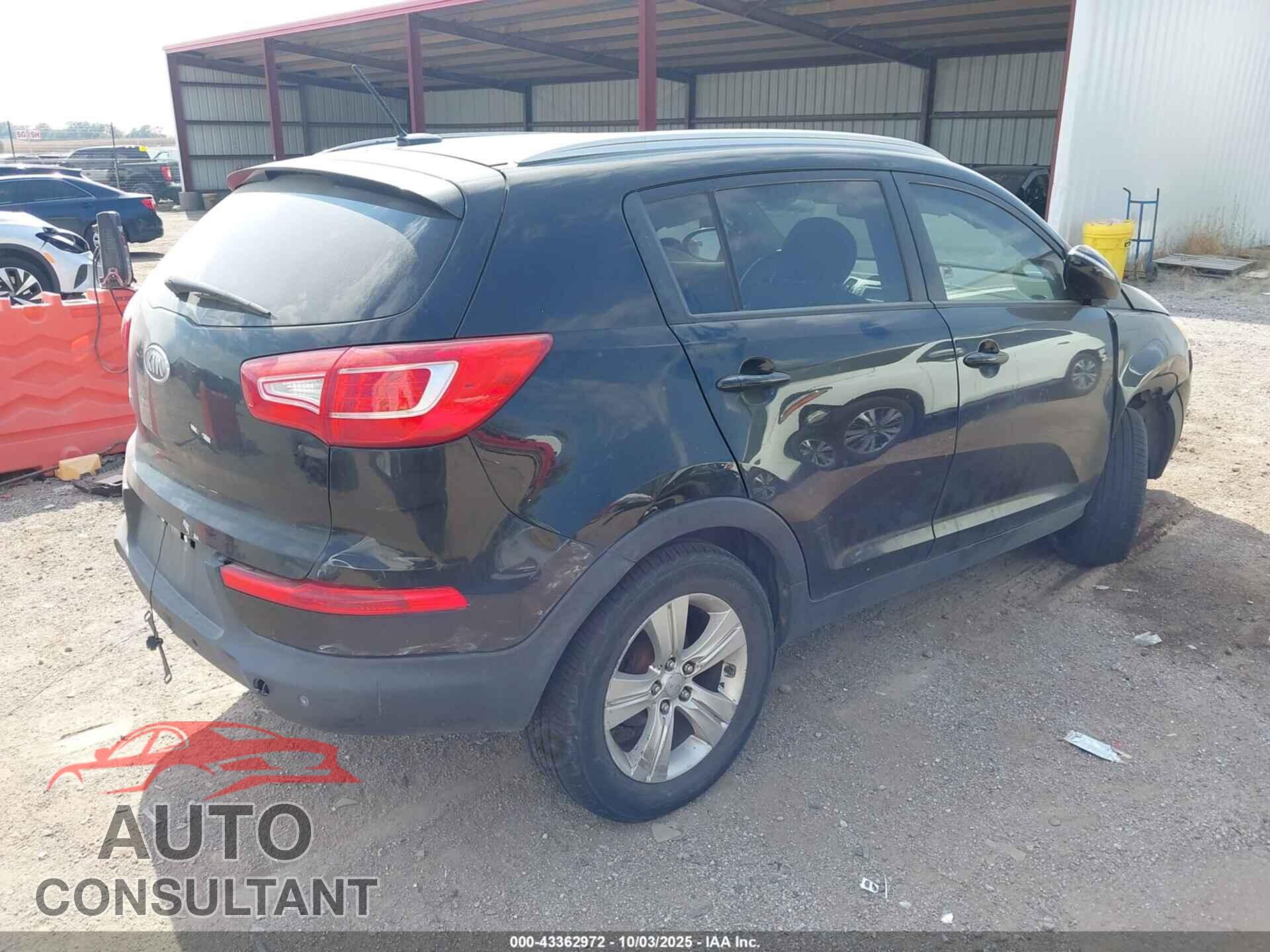 KIA SPORTAGE 2011 - KNDPBCA20B7166345