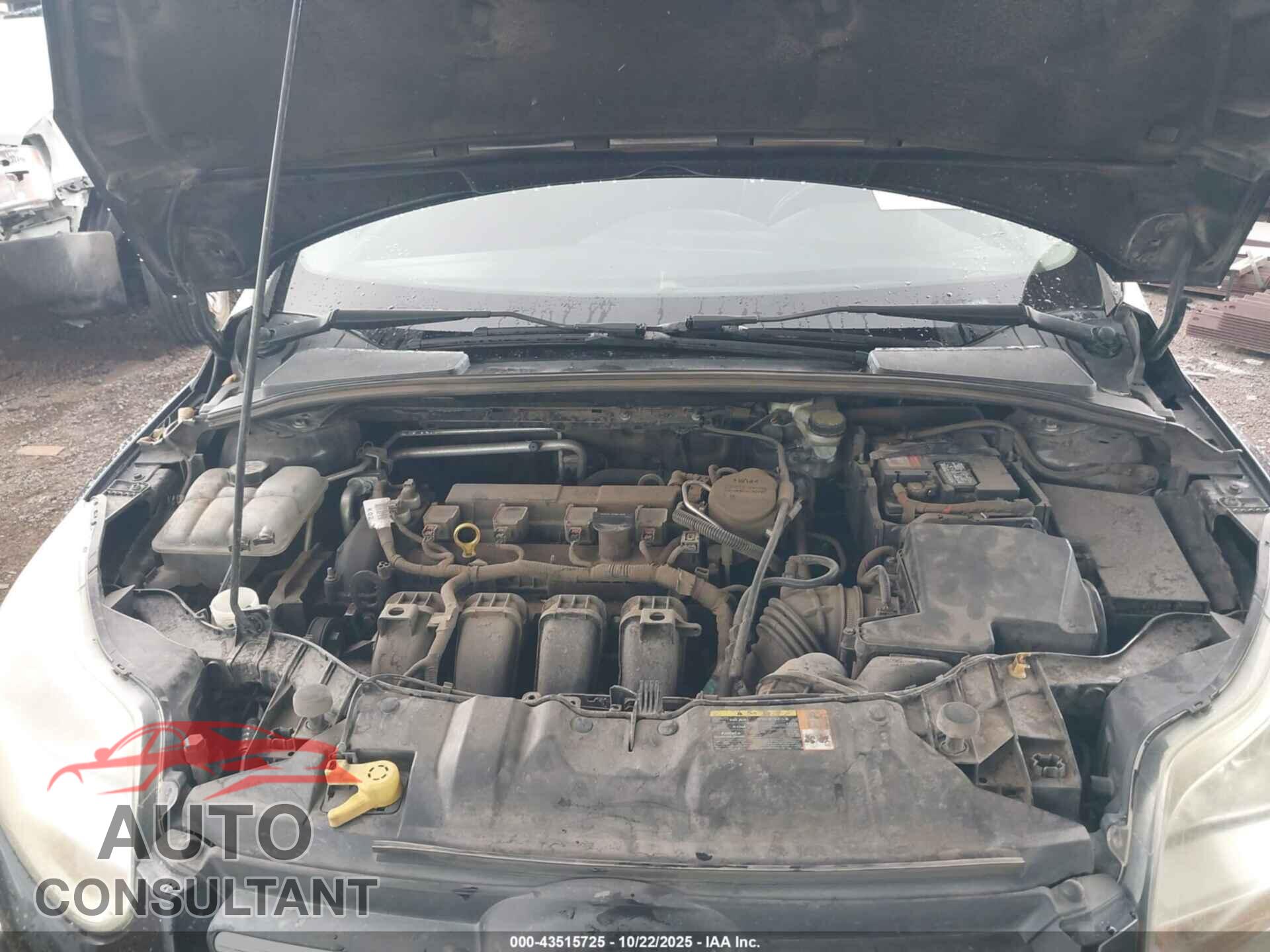 FORD FOCUS 2014 - 1FADP3F2XEL111562