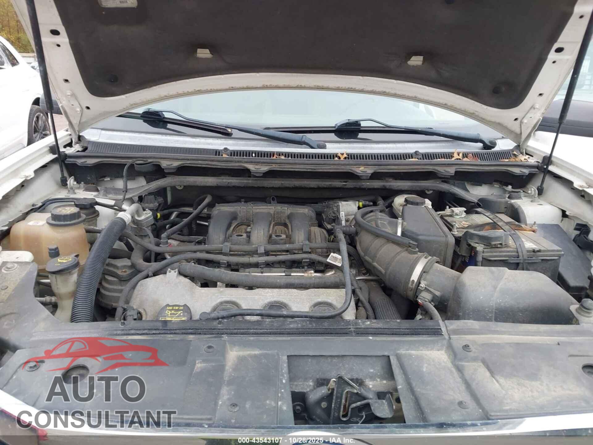 FORD FLEX 2011 - 2FMGK5BC1BBD16646