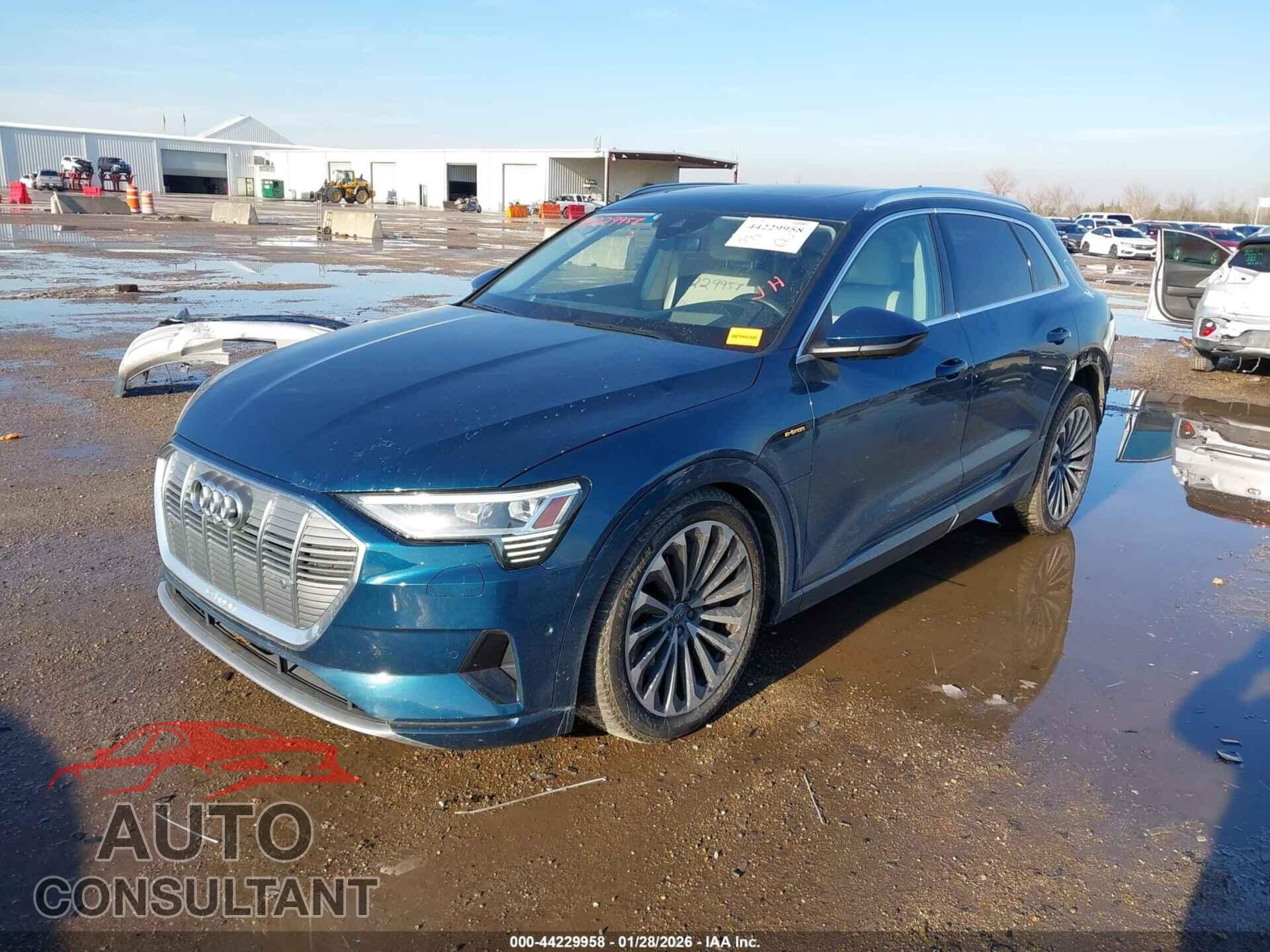 AUDI E-TRON 2019 - WA1VABGE4KB010161