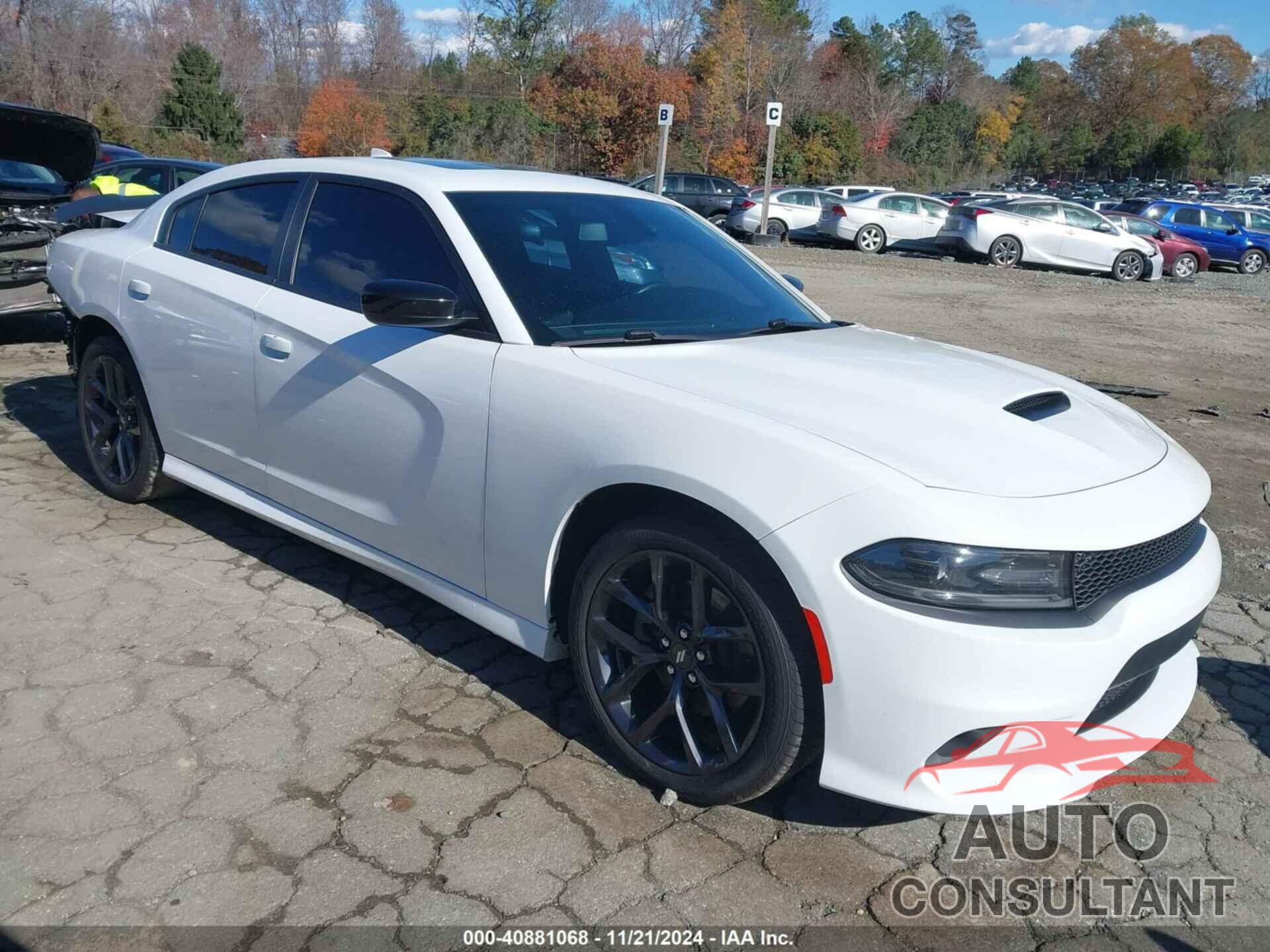 DODGE CHARGER 2021 - 2C3CDXHG1MH633110