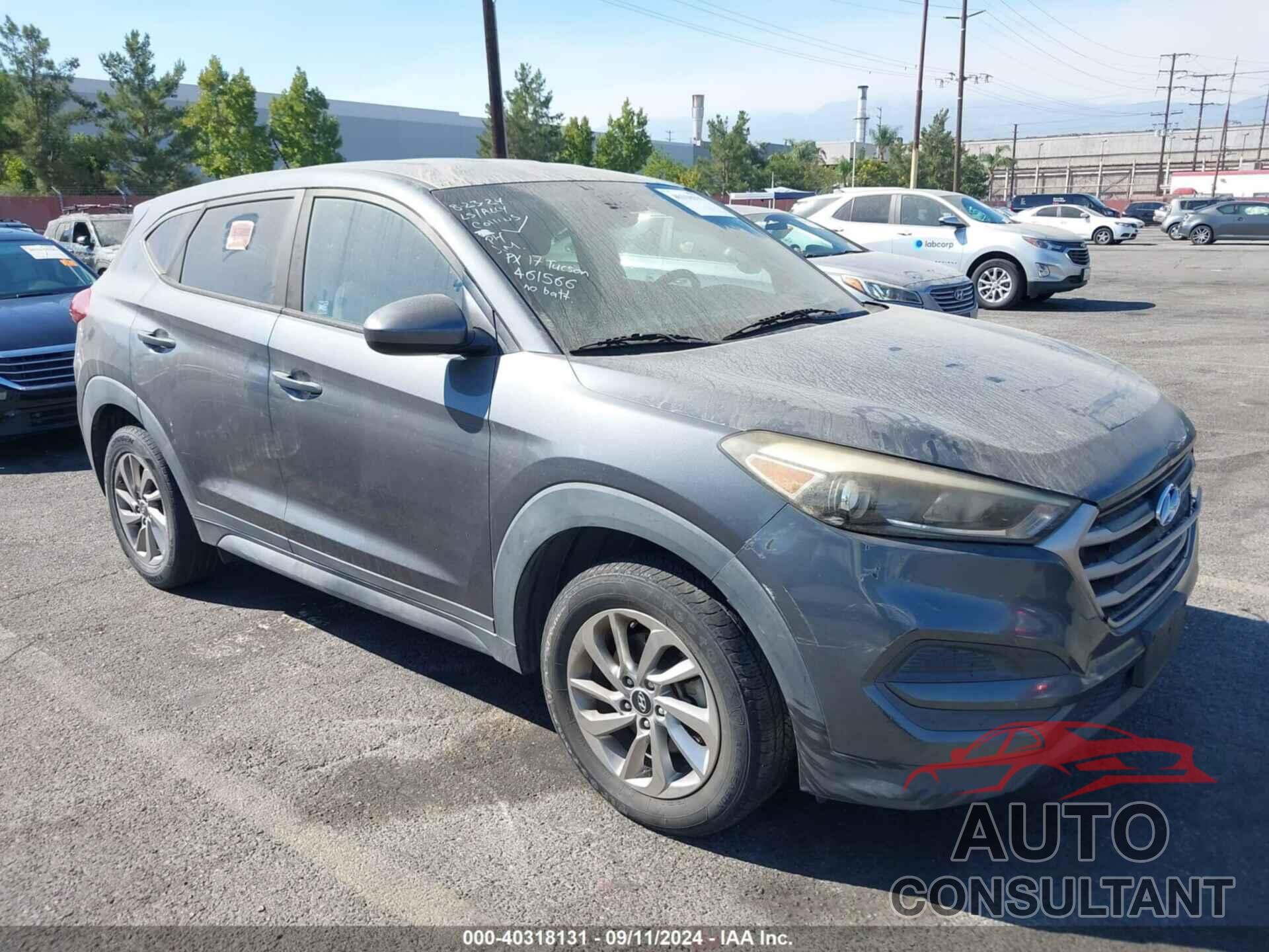 HYUNDAI TUCSON 2017 - KM8J23A45HU461566