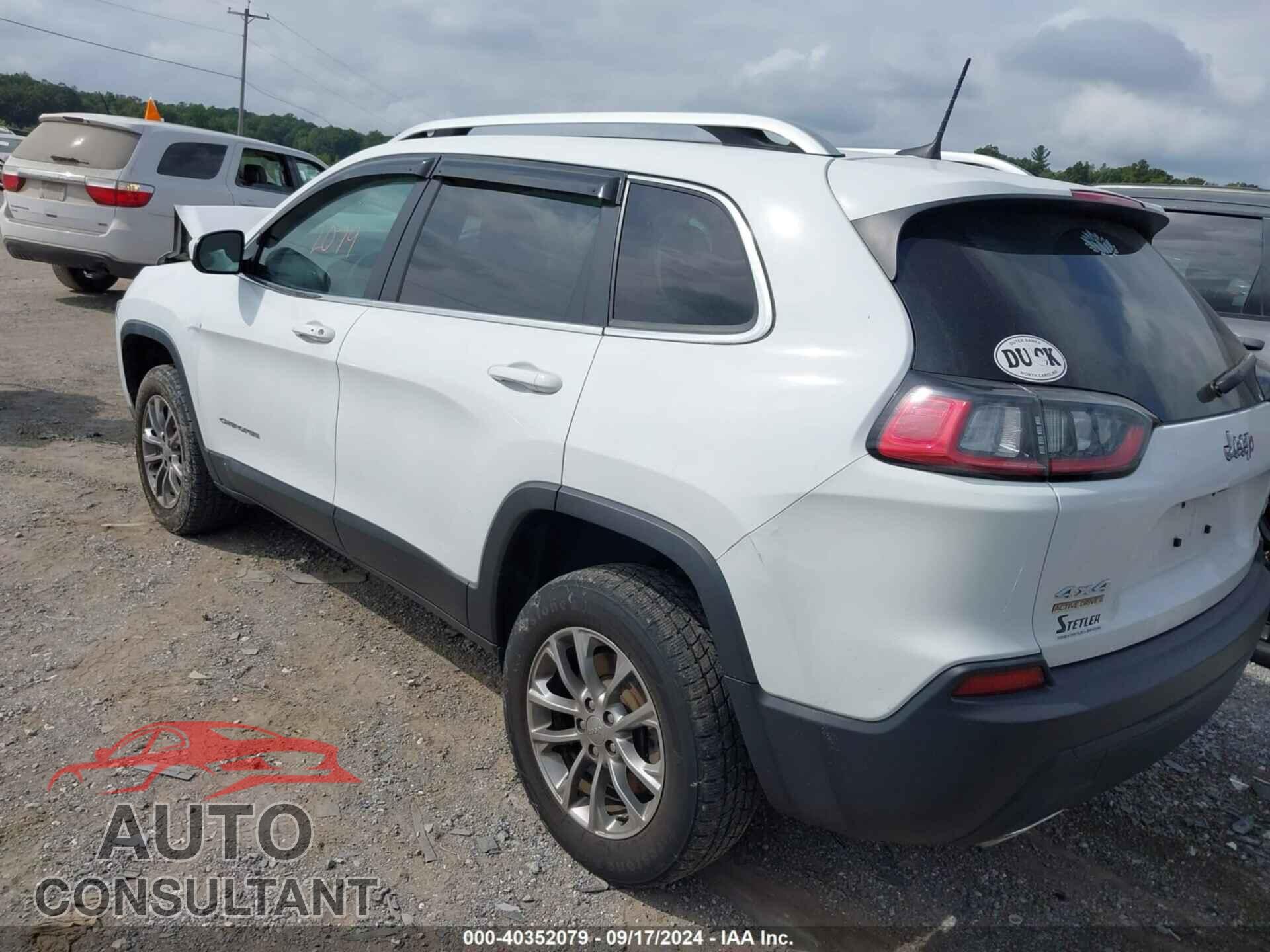 JEEP CHEROKEE 2019 - 1C4PJMLX4KD169655