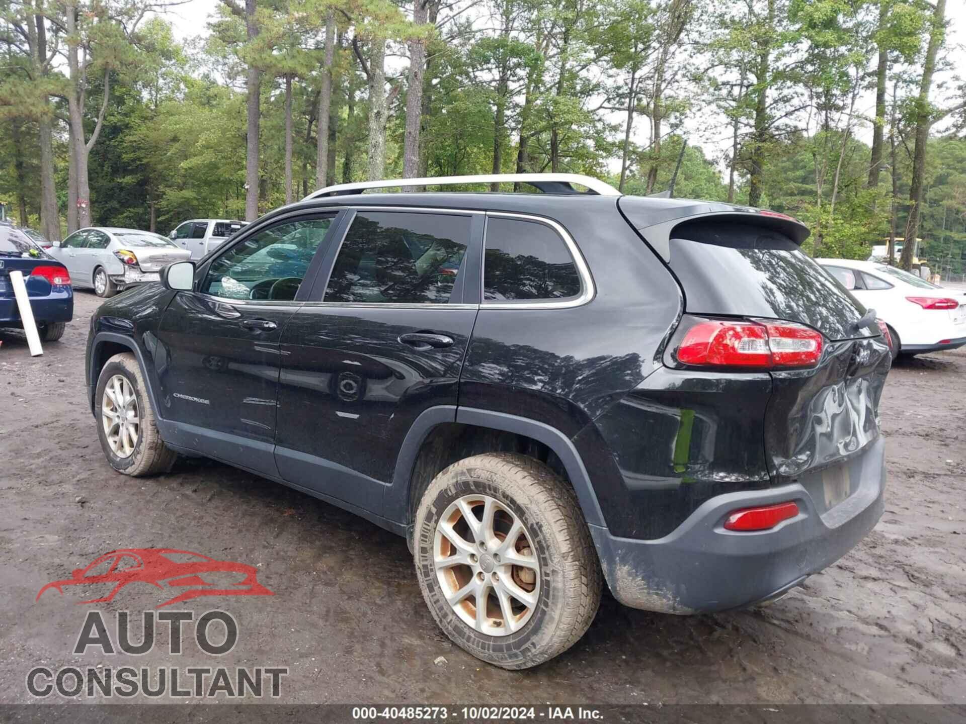 JEEP CHEROKEE 2017 - 1C4PJLCB3HD223339
