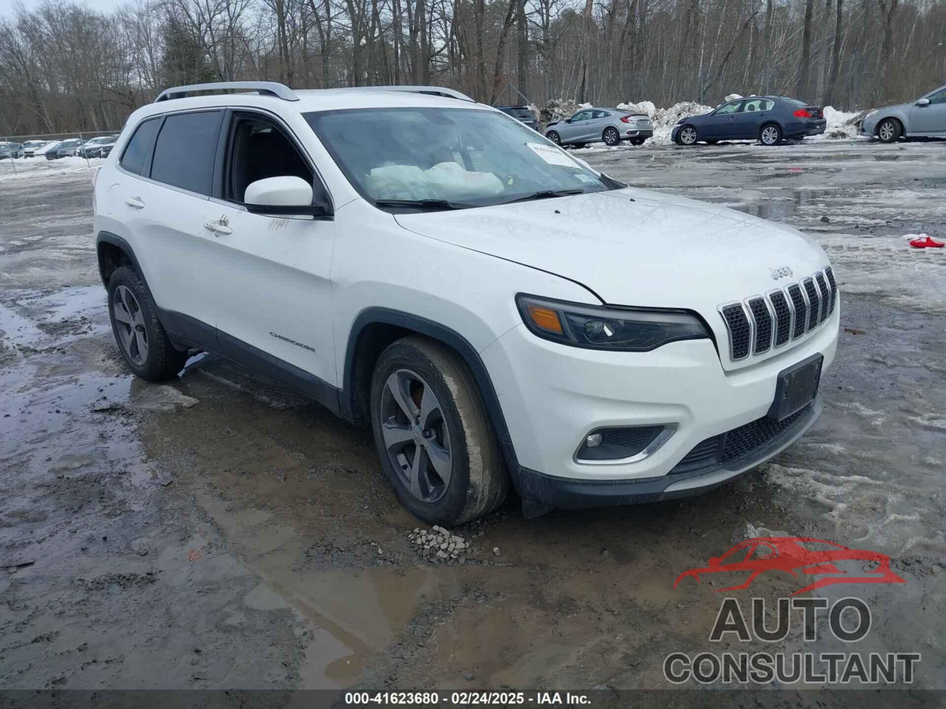 JEEP CHEROKEE 2019 - 1C4PJMDX3KD441353