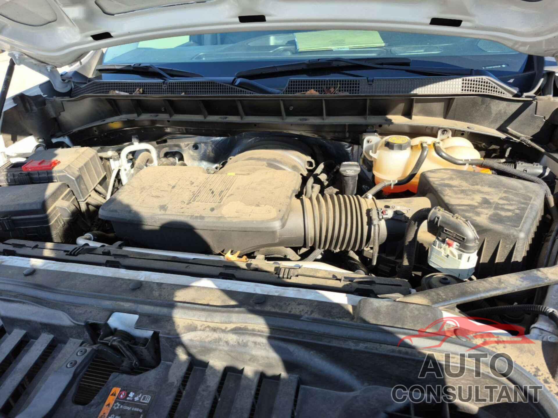 CHEVROLET SILVERADO 1500 2023 - 1GCRAAED2PZ114626