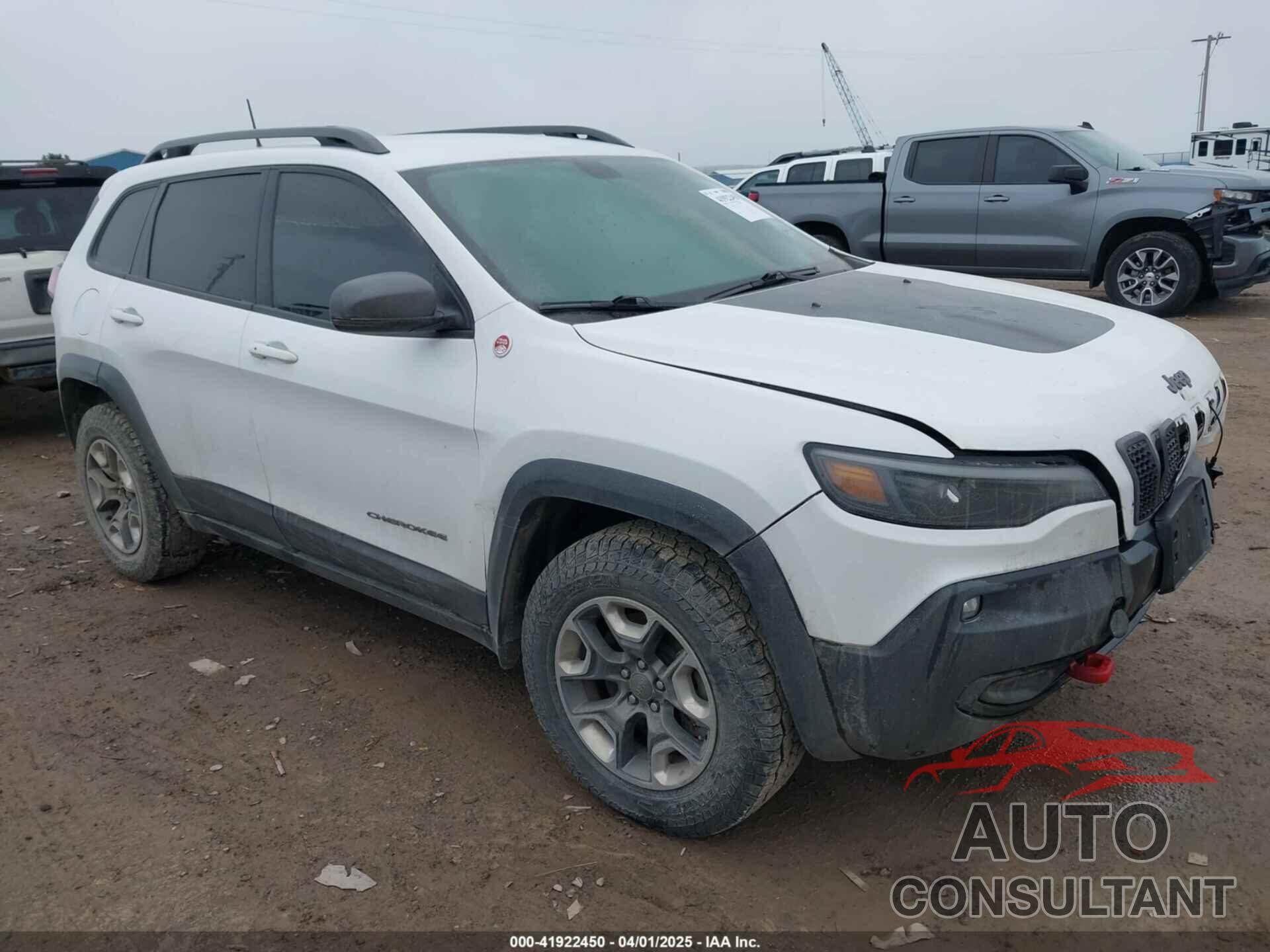 JEEP CHEROKEE 2019 - 1C4PJMBX1KD476881