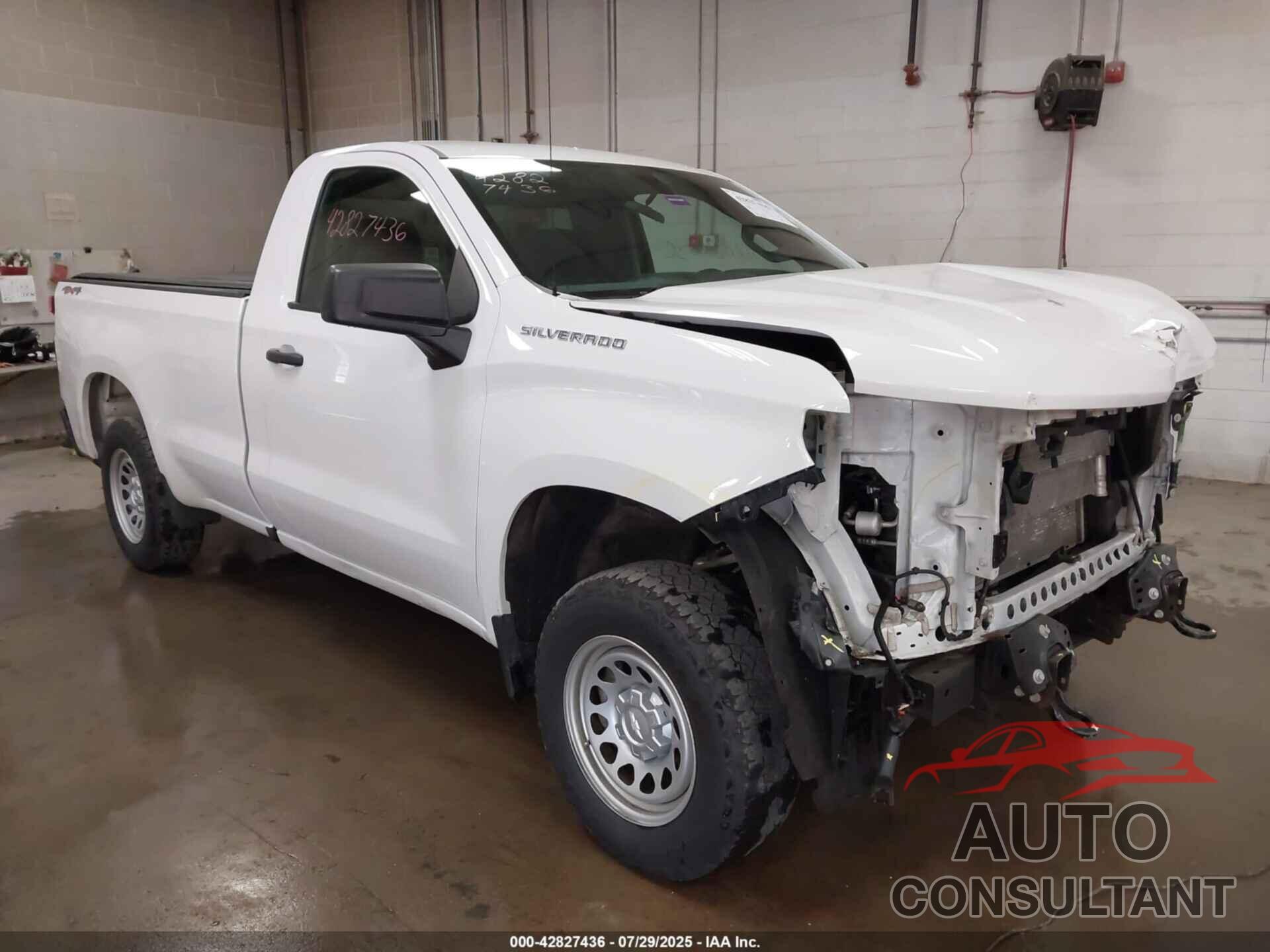CHEVROLET SILVERADO 1500 2020 - 3GCNYAEF4LG234904