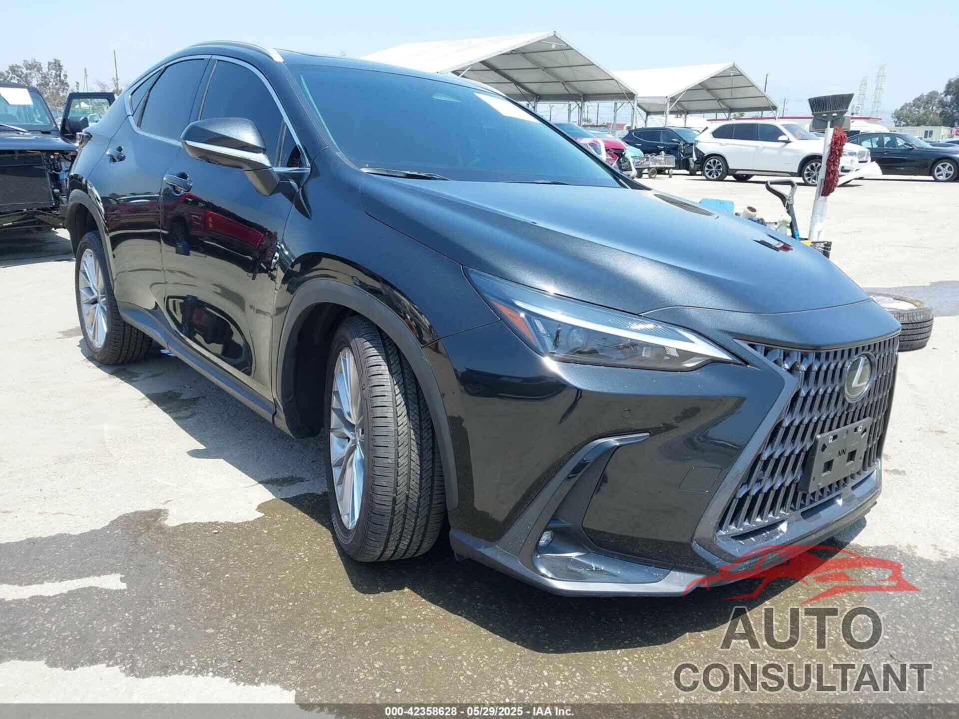 LEXUS NX 350 2025 - 2T2GGCEZ6SC073039