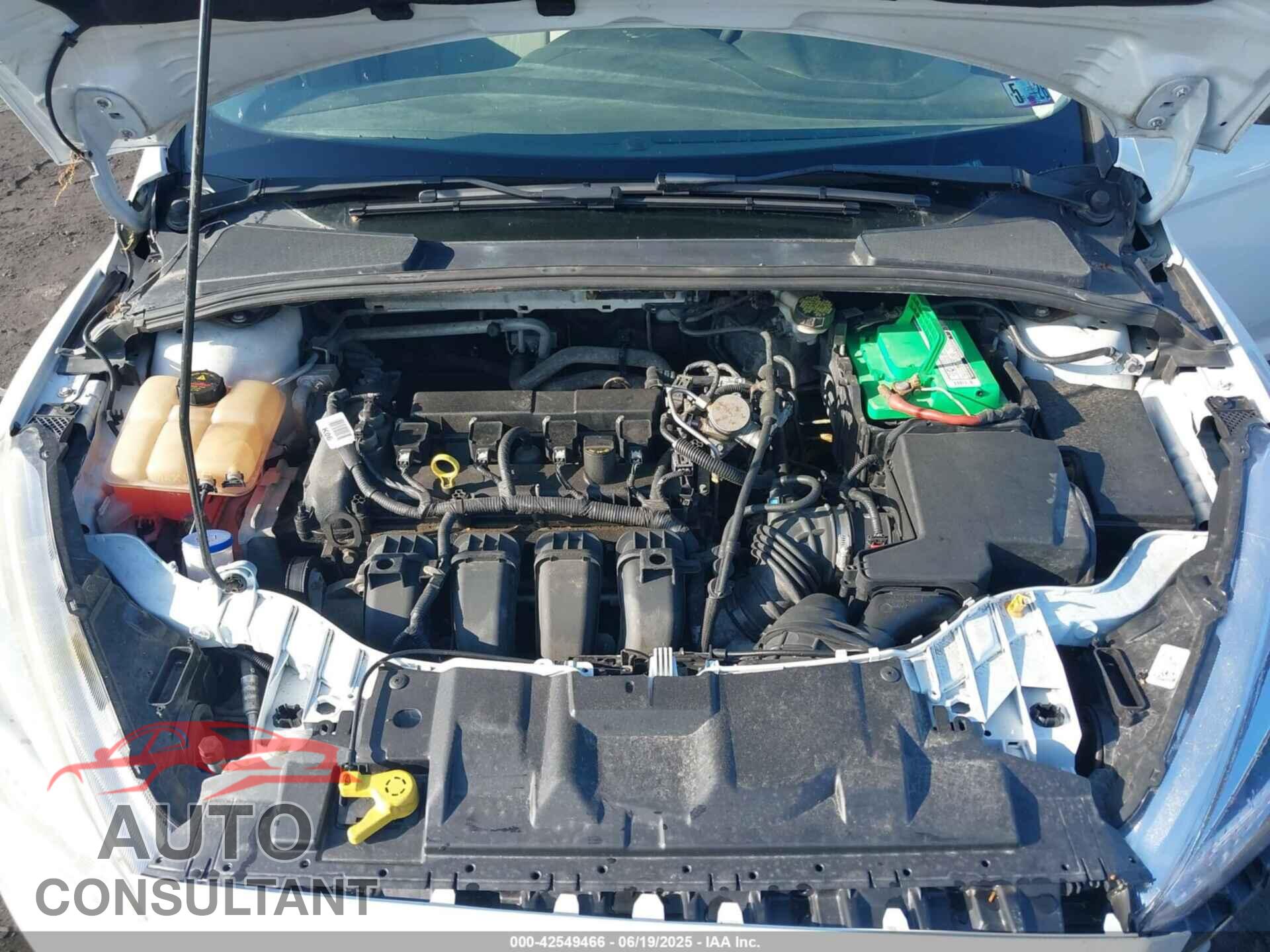 FORD FOCUS 2016 - 1FADP3F22GL231049