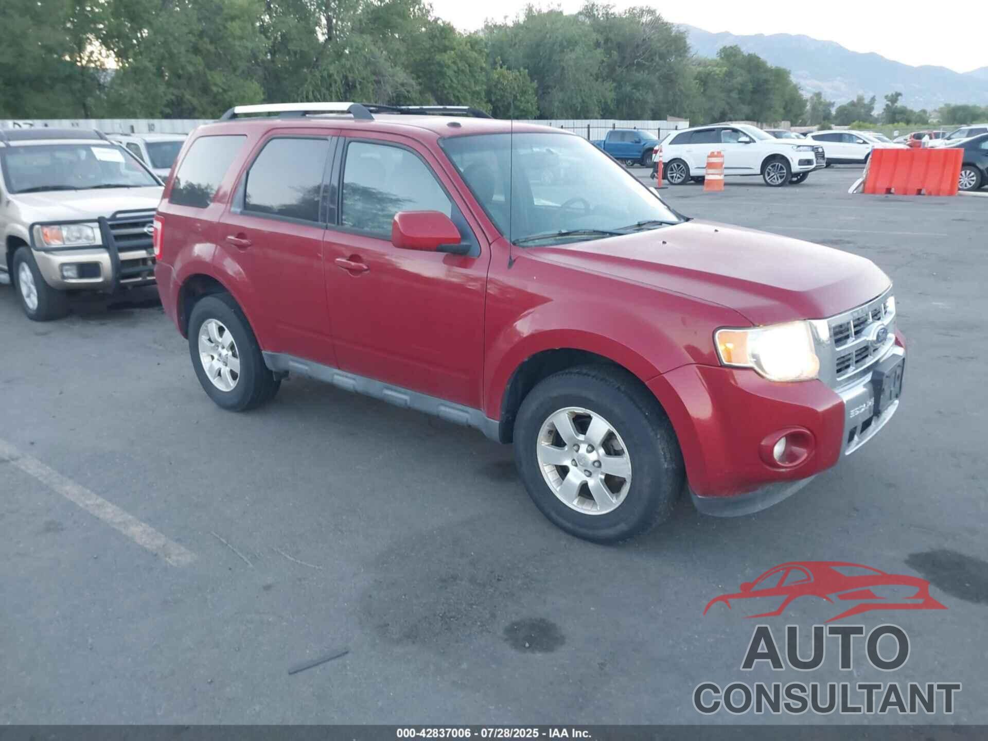 FORD ESCAPE 2011 - 1FMCU9E76BKB67199