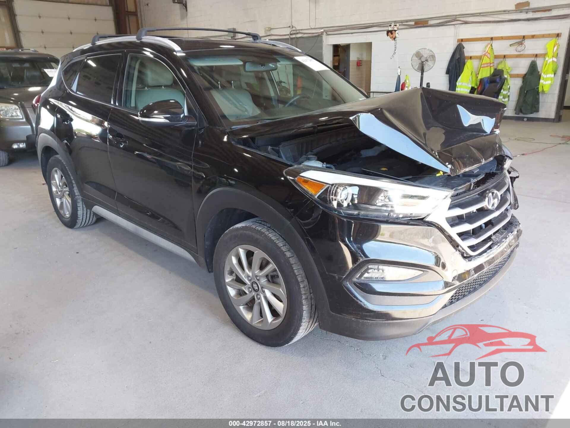 HYUNDAI TUCSON 2017 - KM8J3CA42HU528654