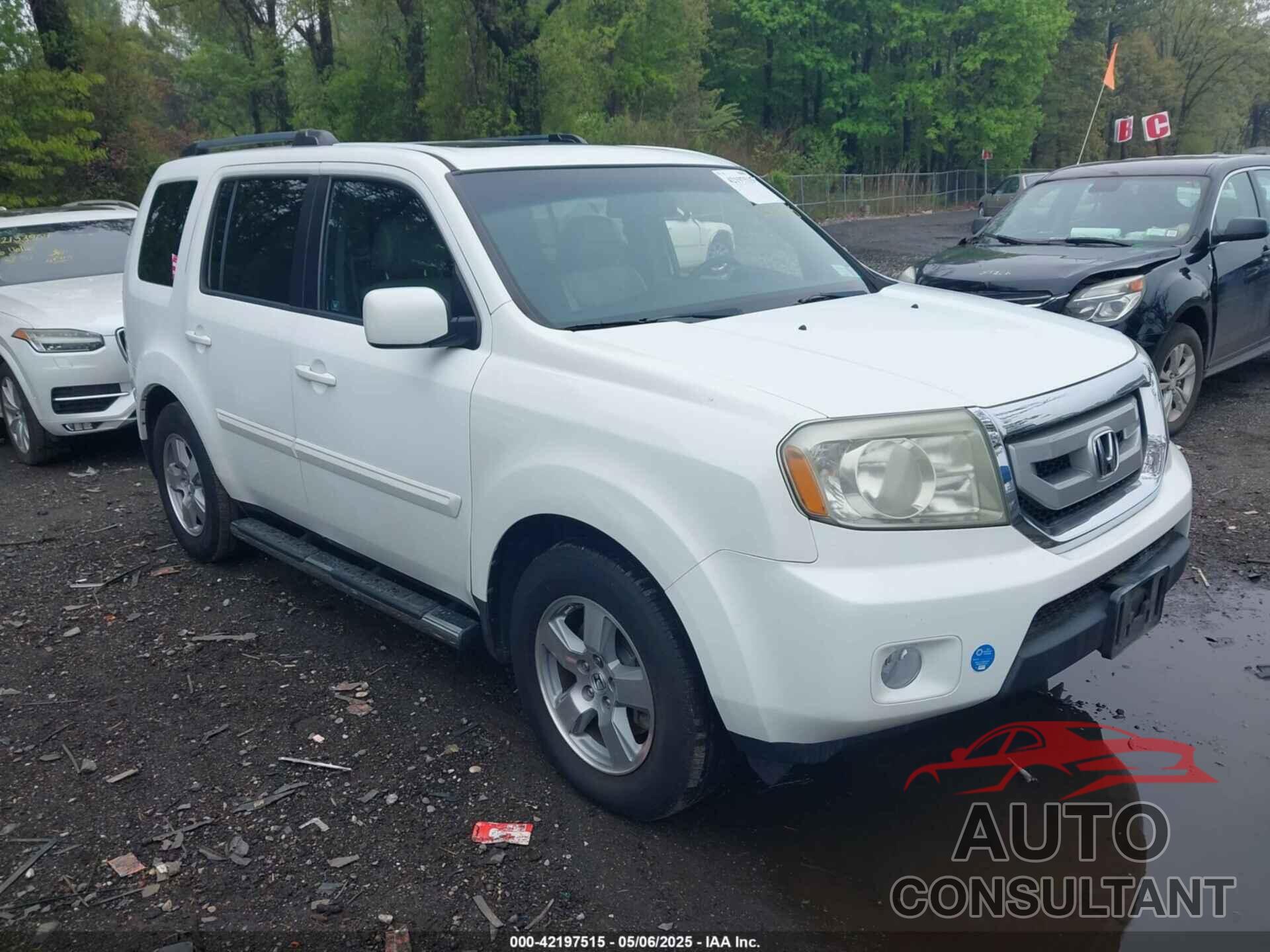 HONDA PILOT 2011 - 5FNYF4H52BB063162