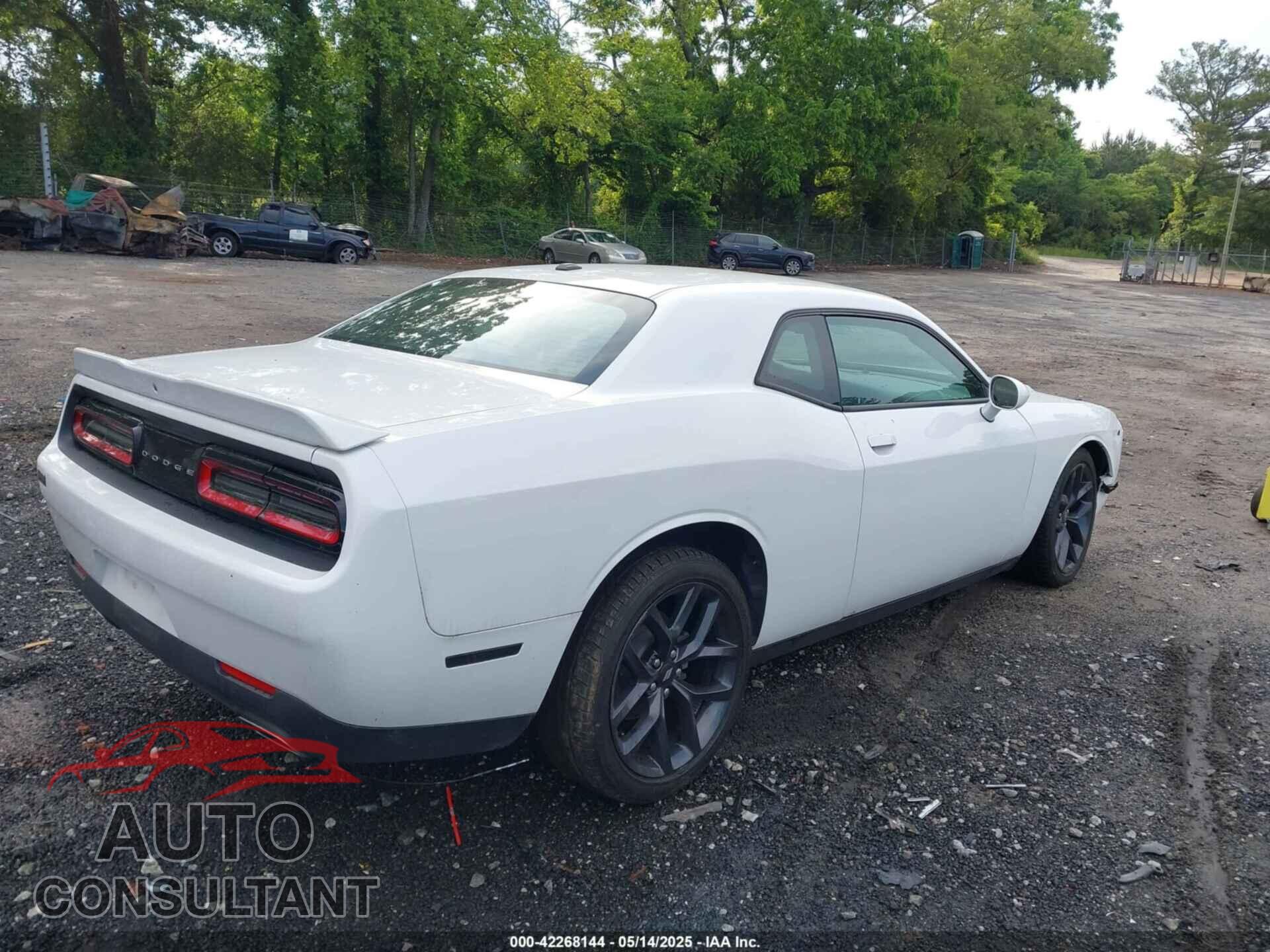 DODGE CHALLENGER 2019 - 2C3CDZAG4KH744611