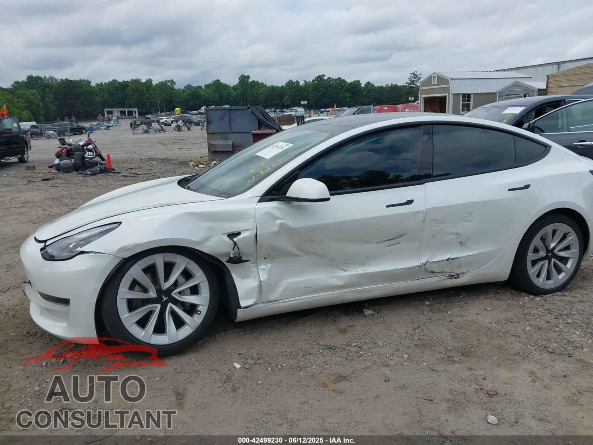 TESLA MODEL 3 2021 - 5YJ3E1EA2MF046121