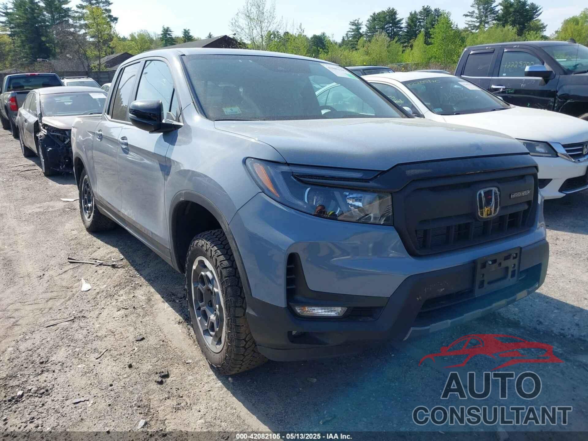 HONDA RIDGELINE 2024 - 5FPYK3F66RB013285