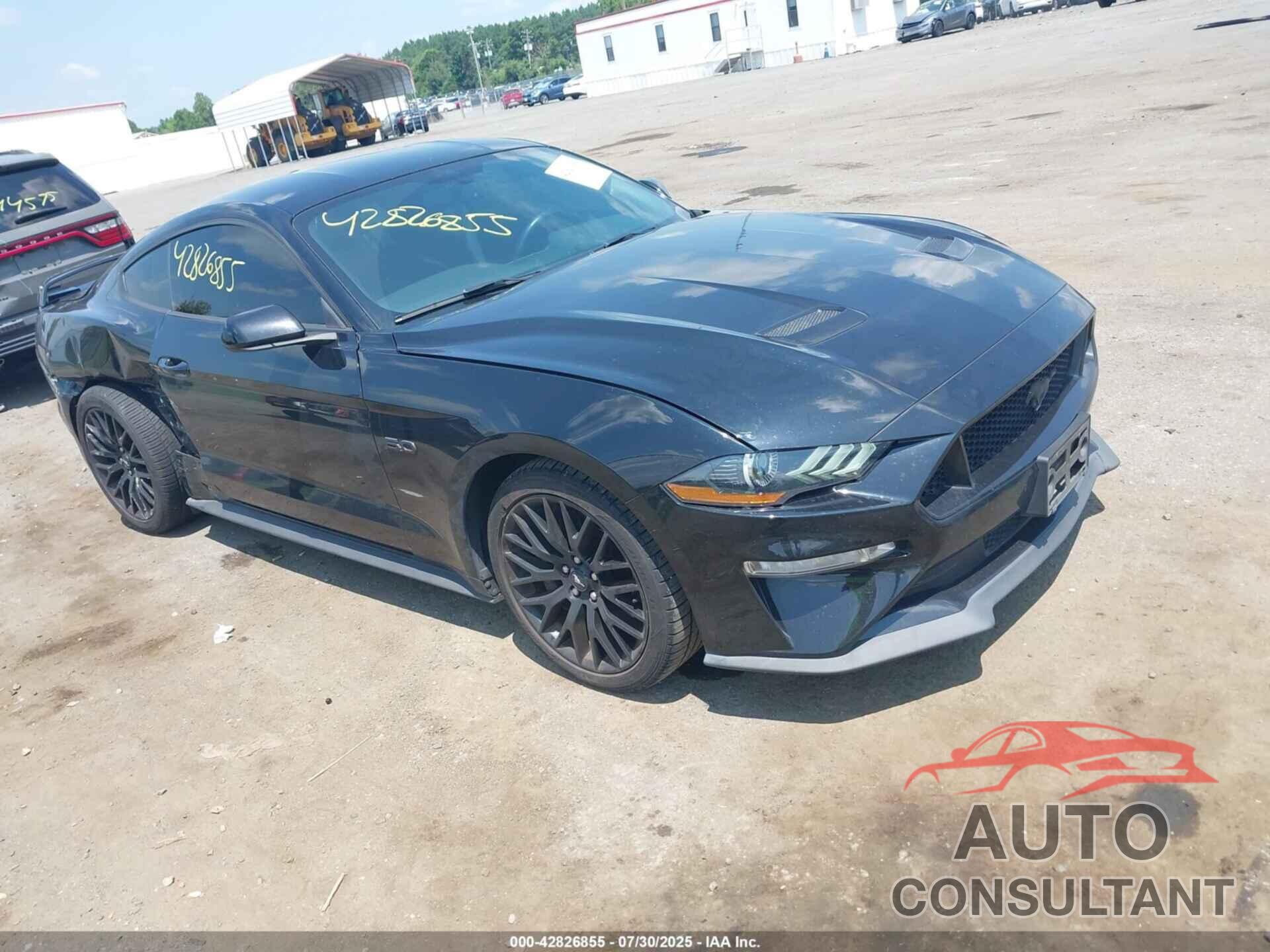 FORD MUSTANG 2019 - 1FA6P8CF8K5119348