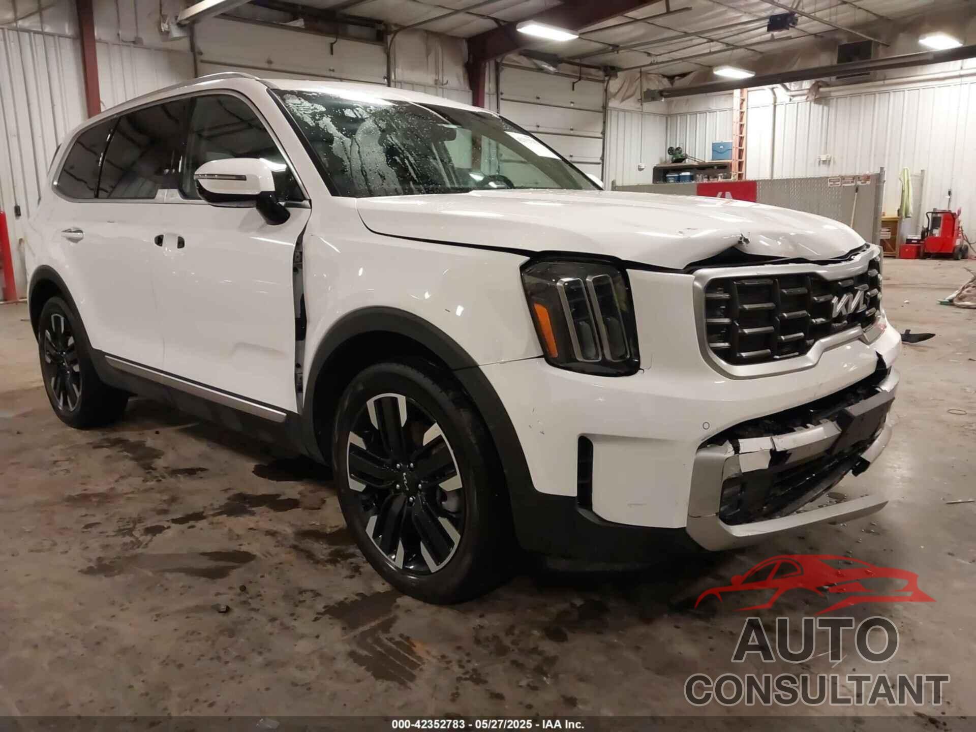 KIA TELLURIDE 2024 - 5XYP5DGC5RG428614