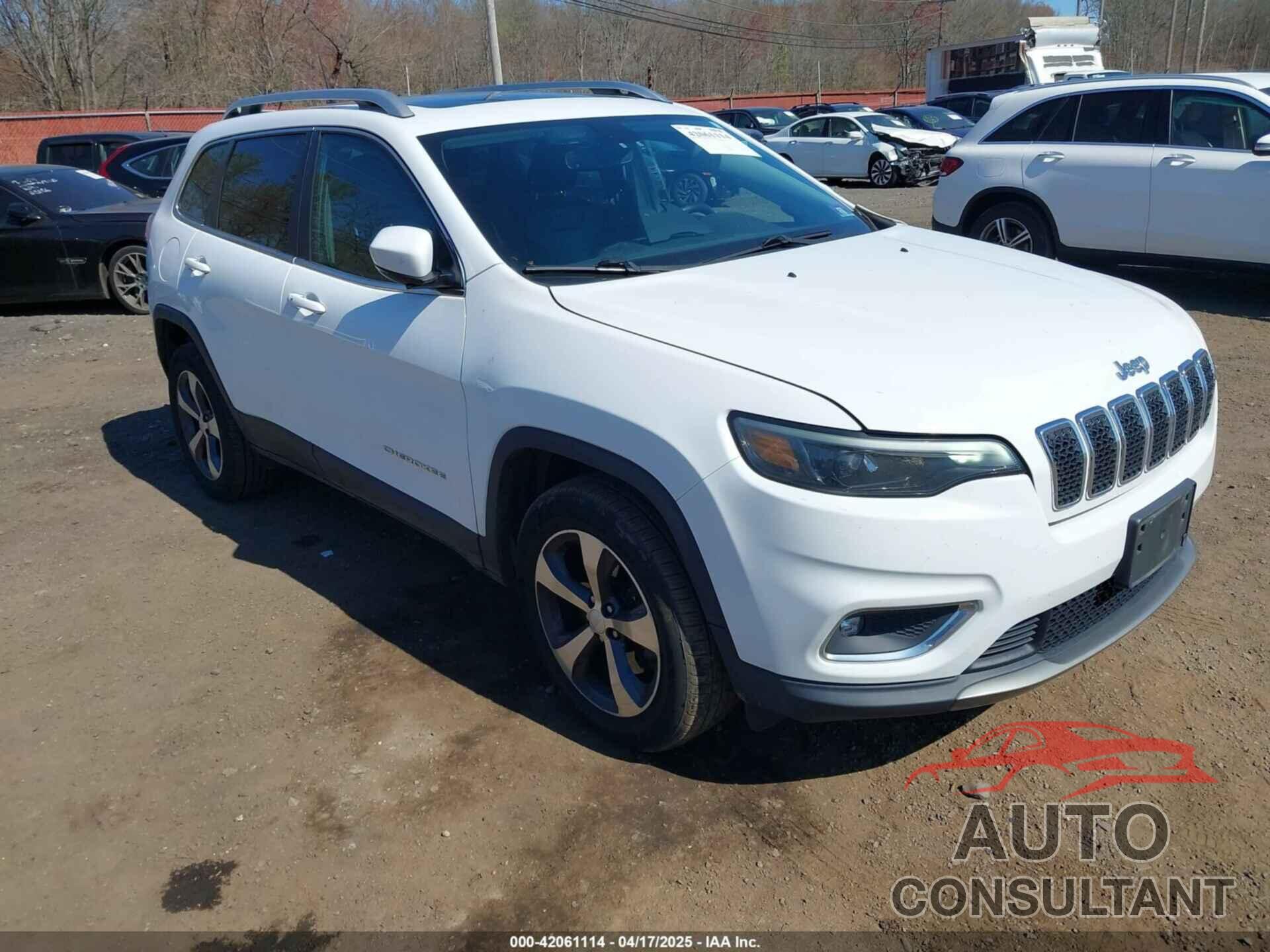 JEEP CHEROKEE 2019 - 1C4PJMDX9KD188989