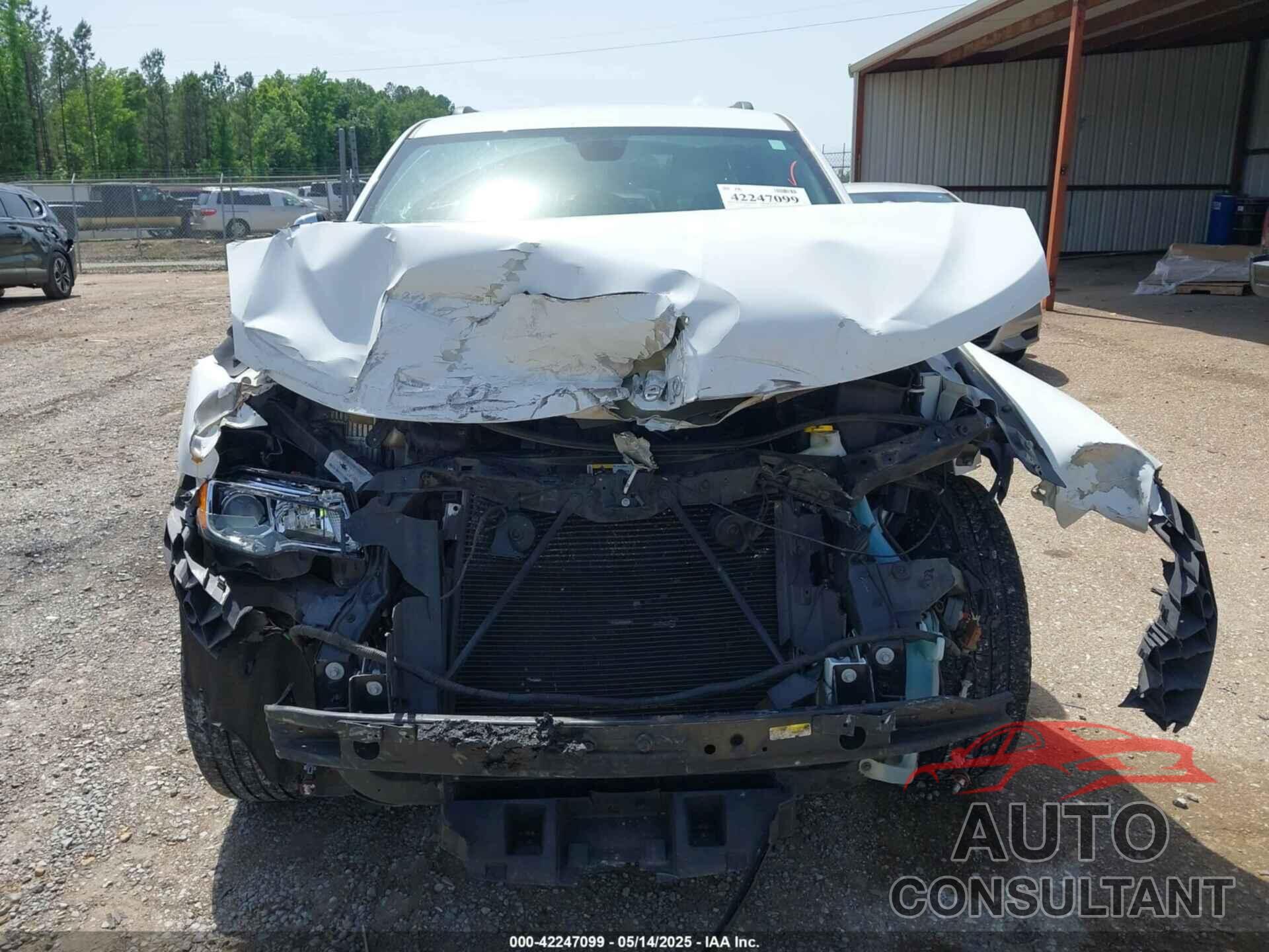 JEEP GRAND CHEROKEE 2019 - 1C4RJEBG8KC572978