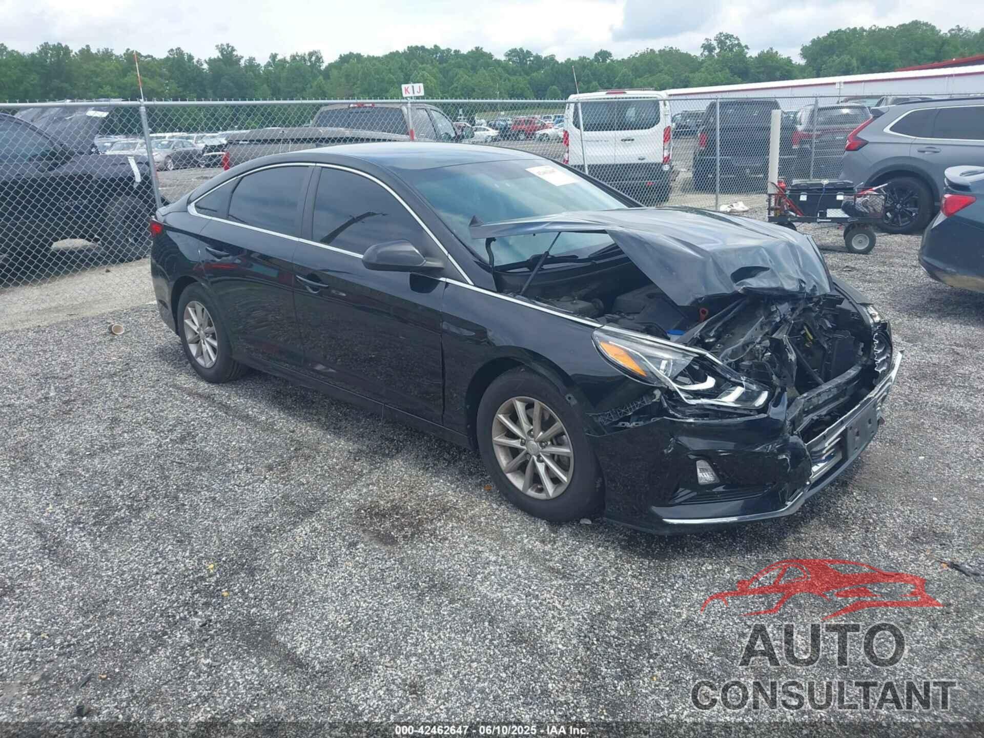 HYUNDAI SONATA 2019 - 5NPE24AF9KH794738