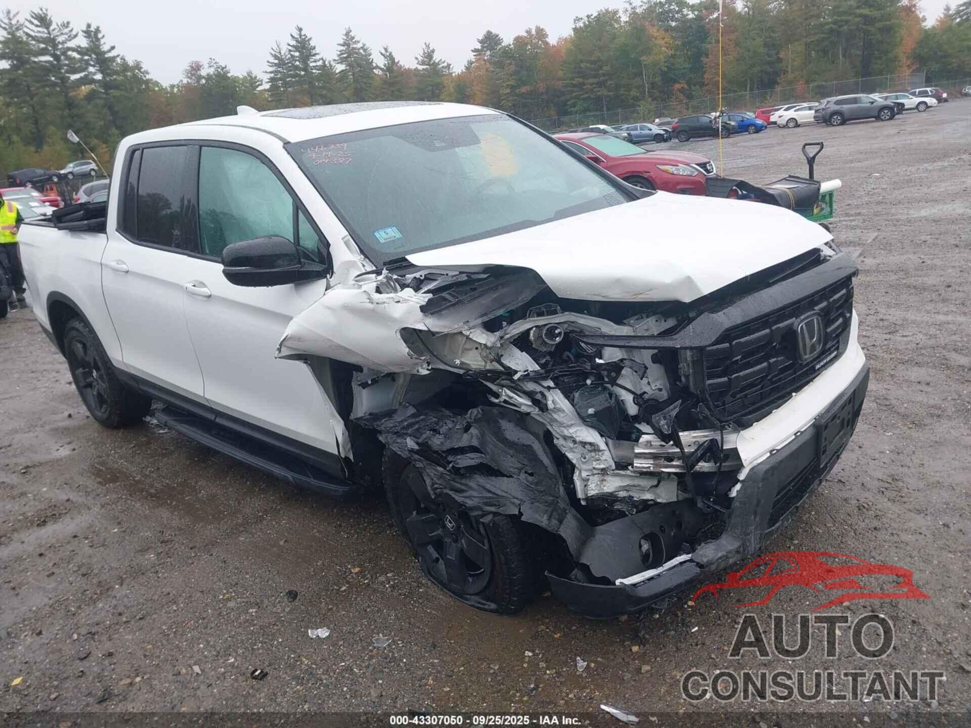 HONDA RIDGELINE 2024 - 5FPYK3F86RB014387