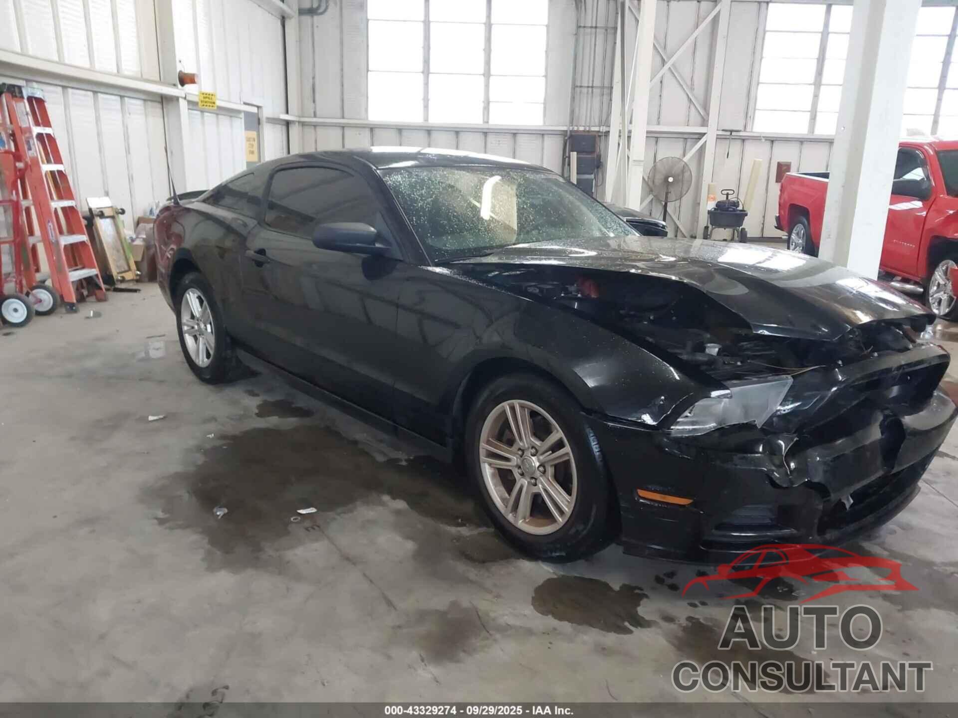FORD MUSTANG 2013 - 1ZVBP8AM8D5240360
