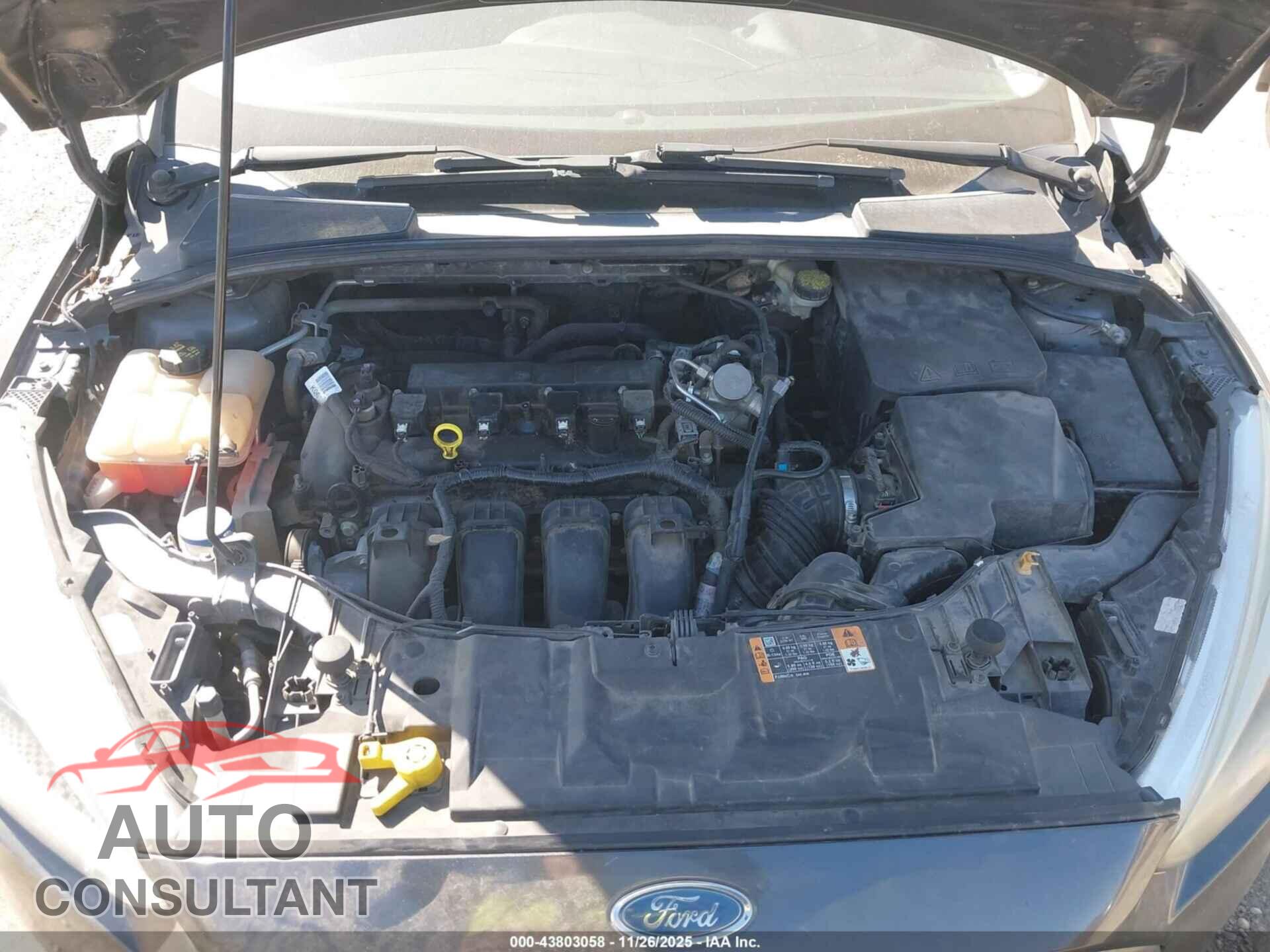 FORD FOCUS 2016 - 1FADP3F23GL404593