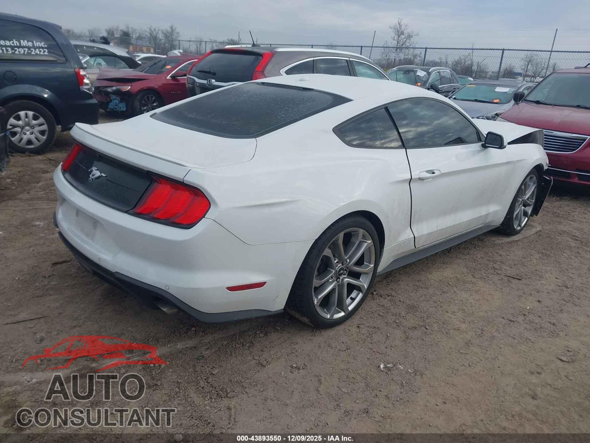 FORD MUSTANG 2019 - 1FA6P8TH7K5147580