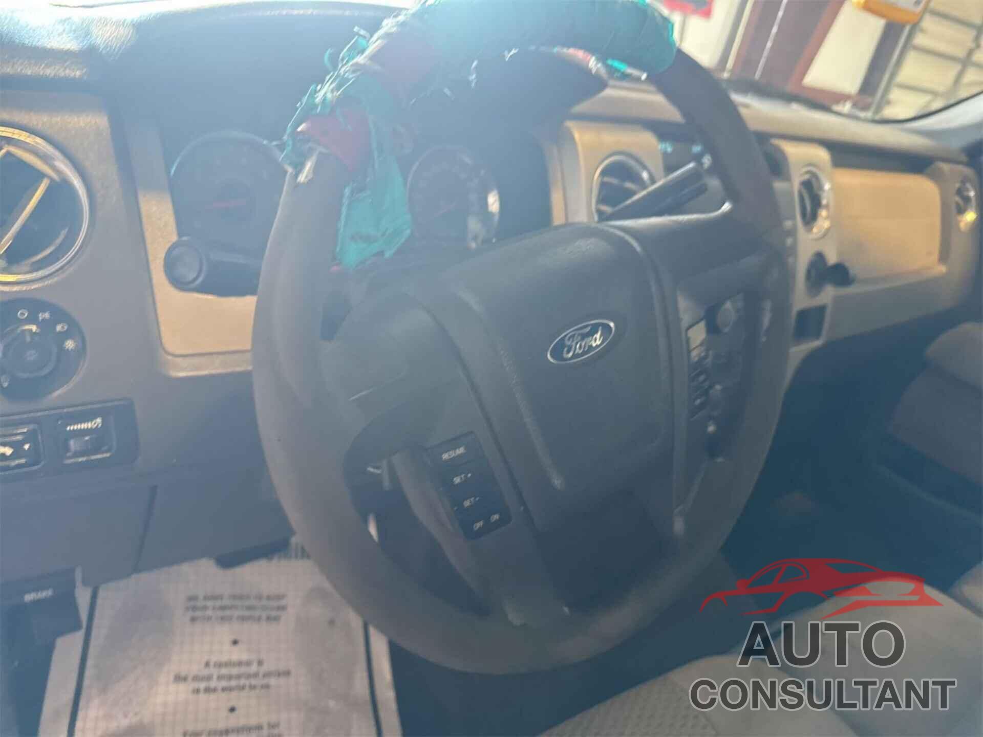 FORD F150 2010 - 1FTEW1E81AFC68241