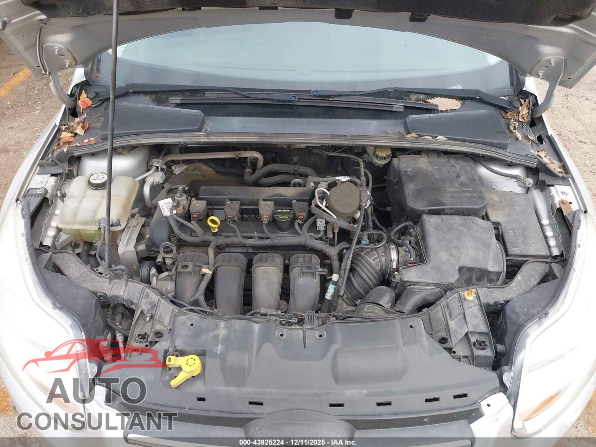 FORD FOCUS 2013 - 1FADP3F21DL208454
