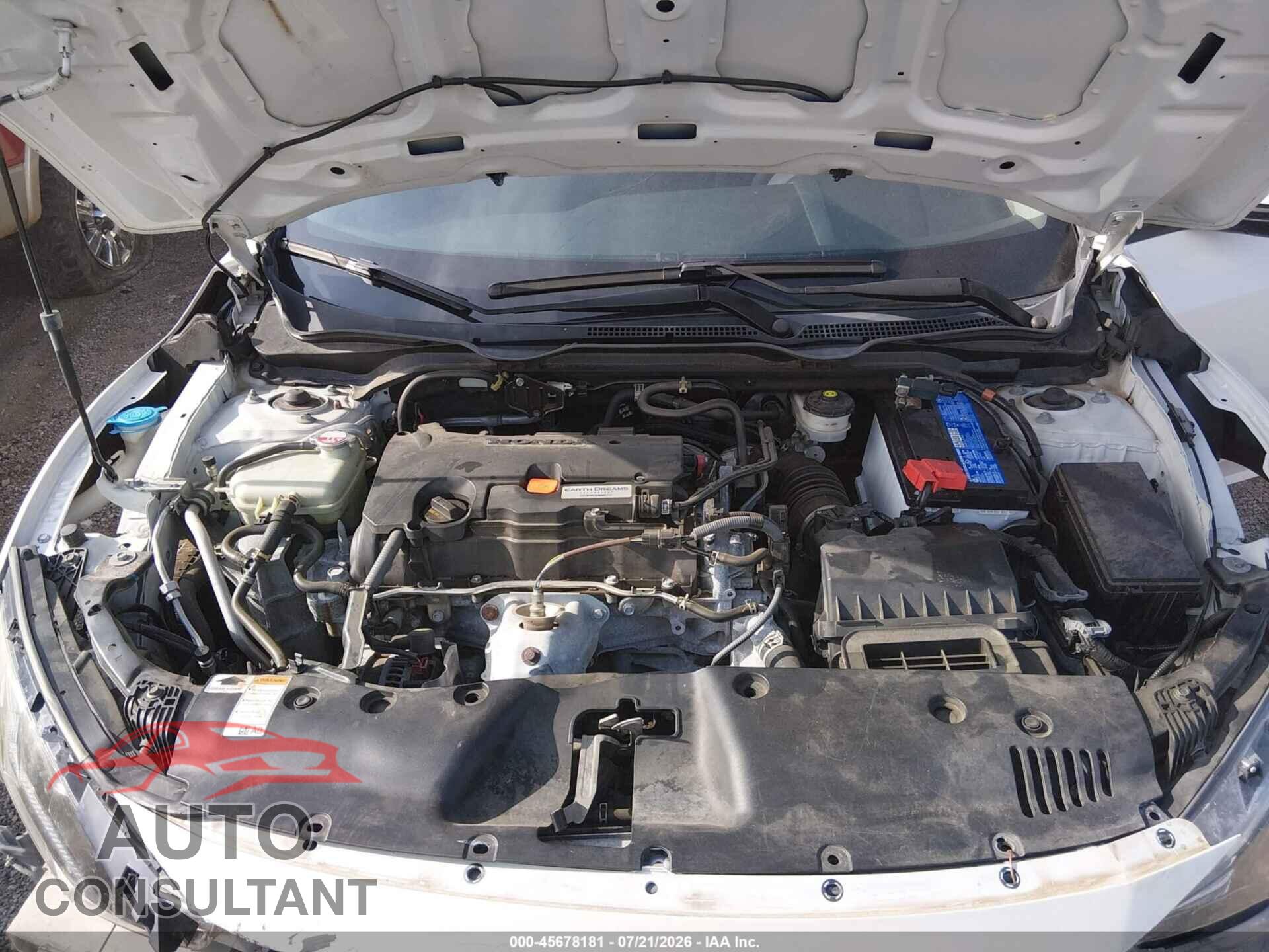 HONDA CIVIC 2019 - 2HGFC2F67KH566357