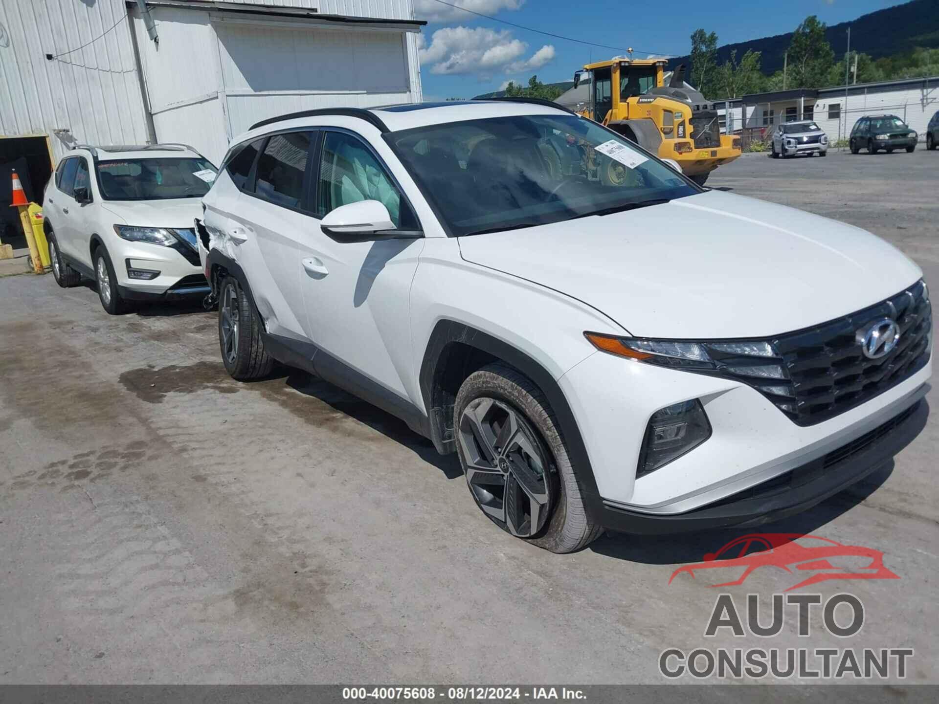 HYUNDAI TUCSON 2024 - 5NMJFCDE9RH373061