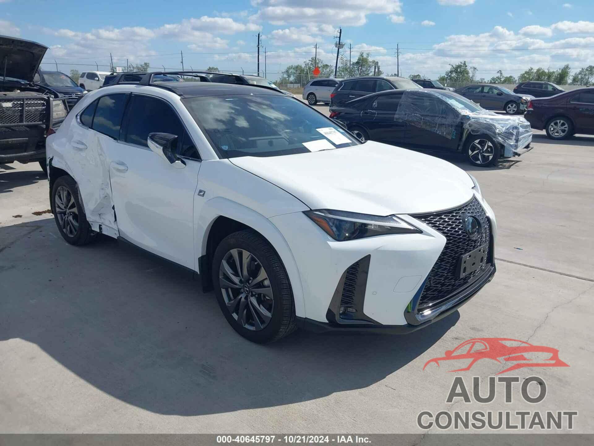 LEXUS UX 250H 2023 - JTHR6JBH1P2158150