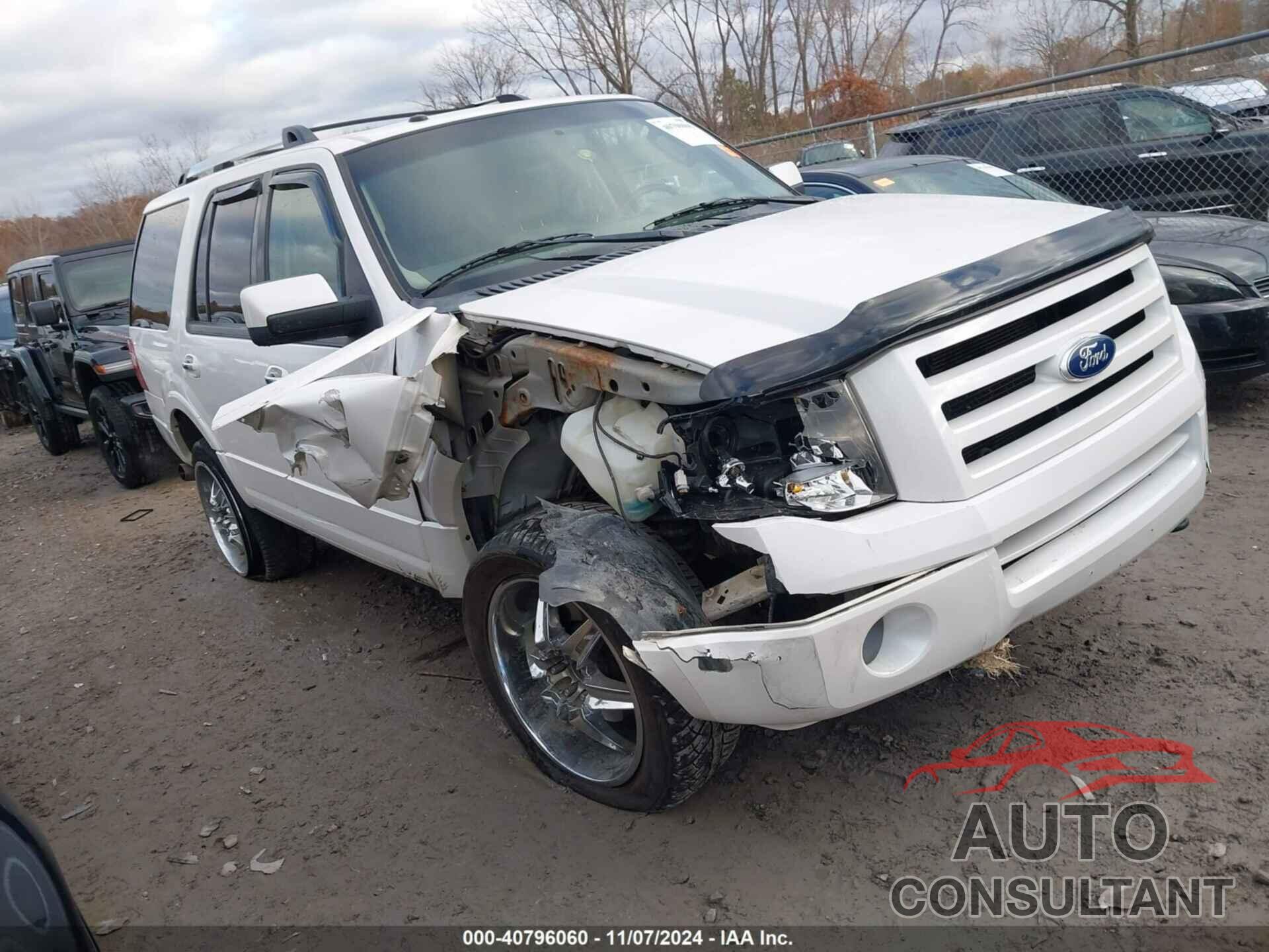 FORD EXPEDITION 2010 - 1FMJU2A57AEB72508