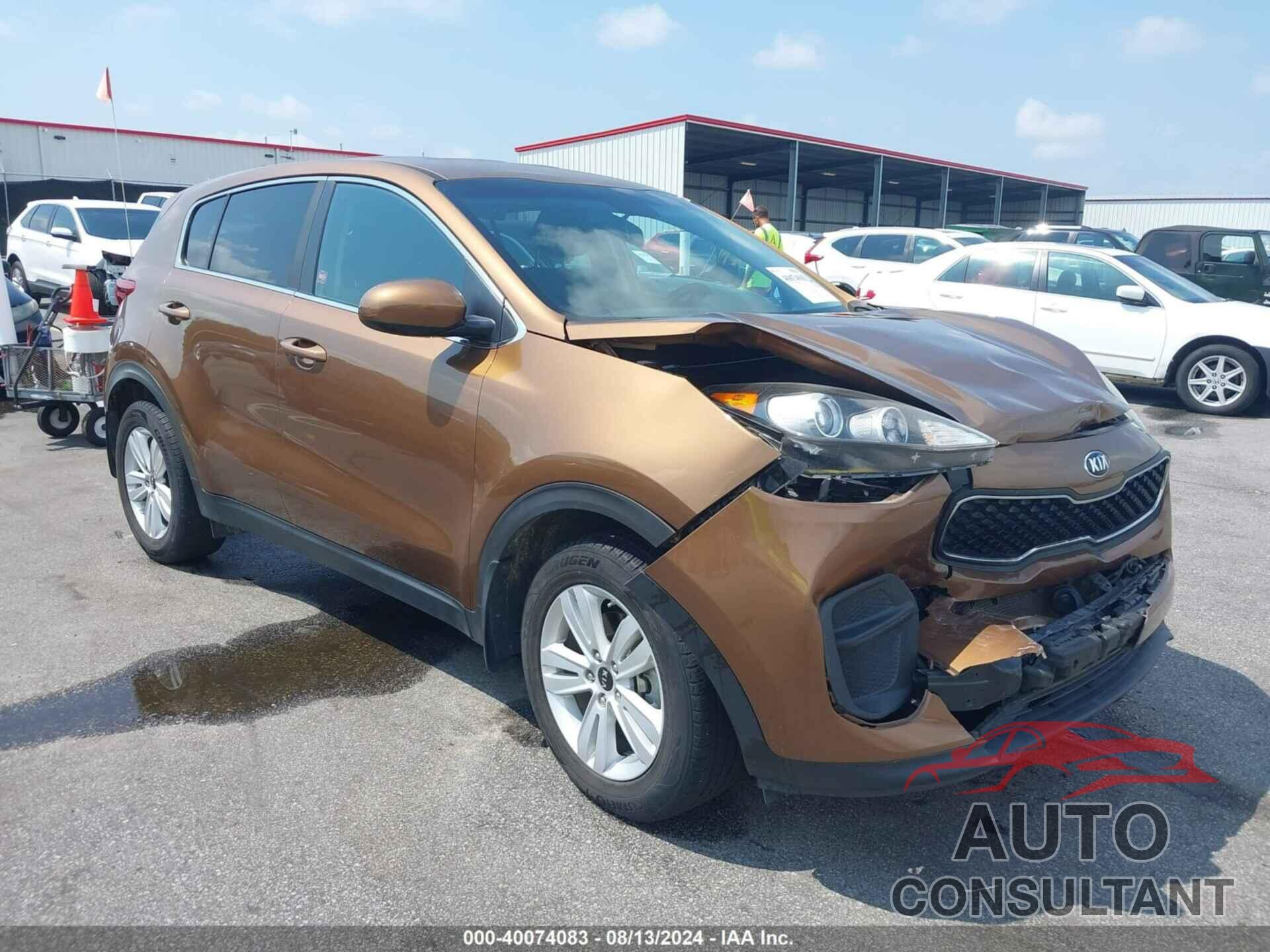 KIA SPORTAGE 2019 - KNDPM3AC0K7539337