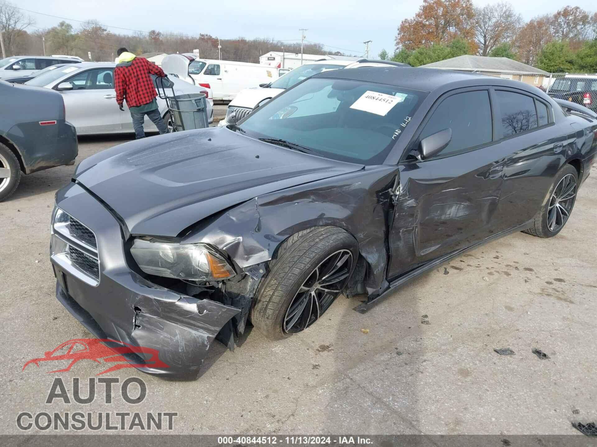 DODGE CHARGER 2014 - 2C3CDXBG0EH303159