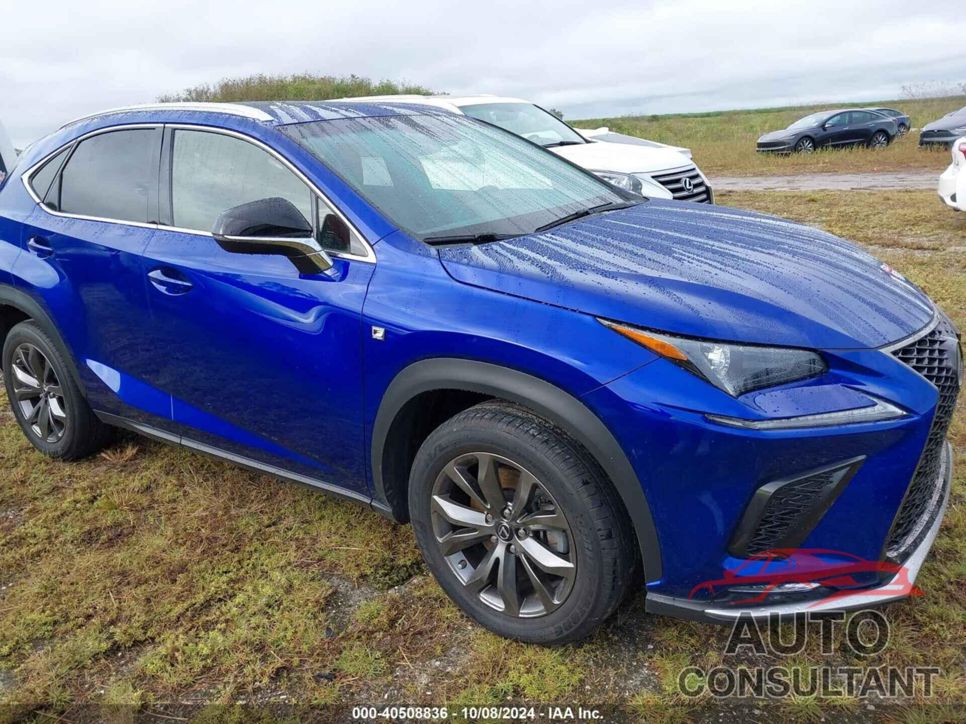 LEXUS NX 2019 - JTJYARBZ7K2117126