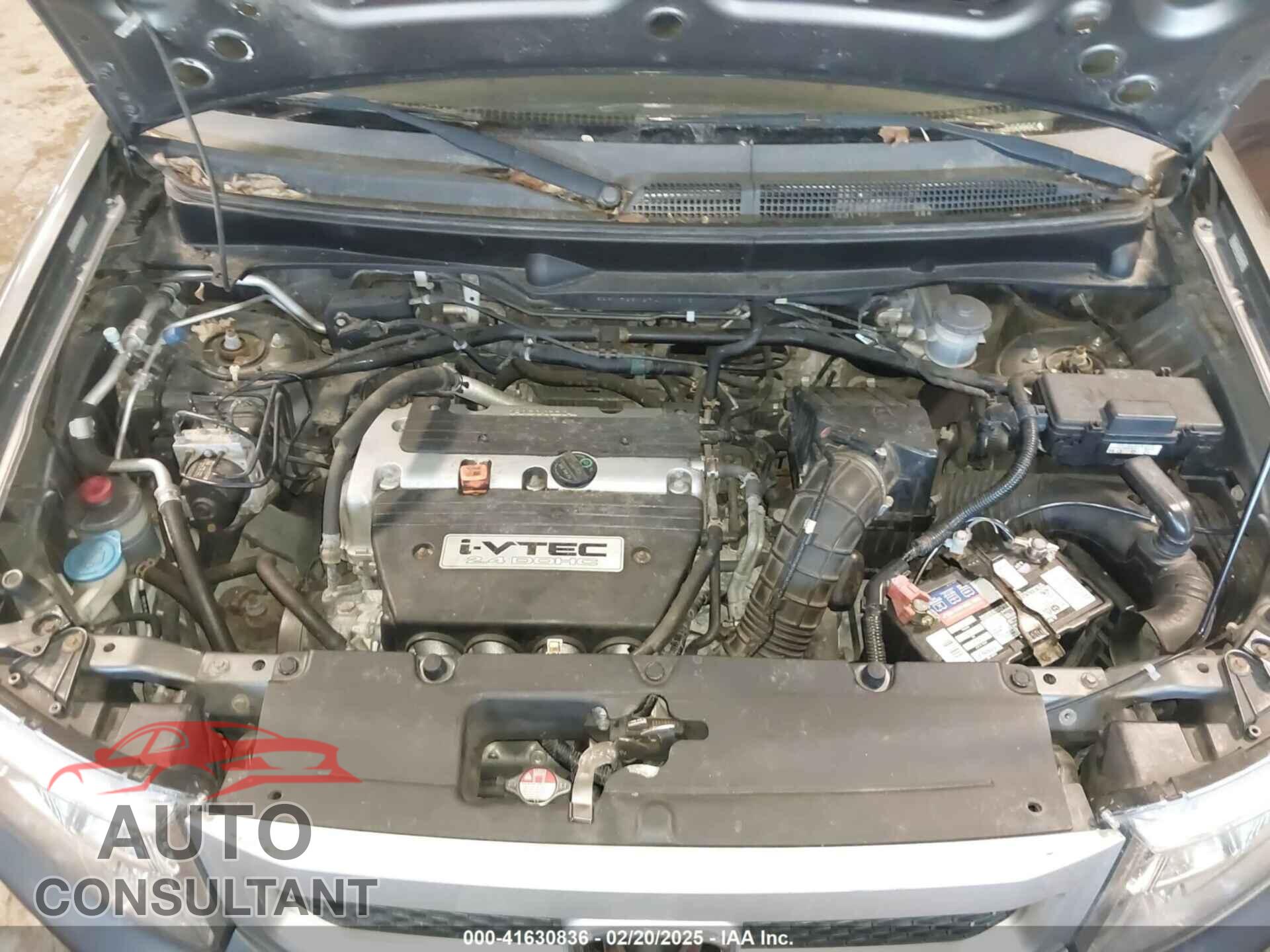 HONDA ELEMENT 2009 - 5J6YH28769L000616