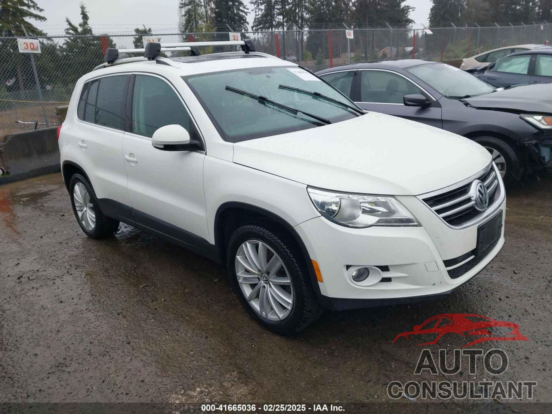 VOLKSWAGEN TIGUAN 2011 - WVGBV7AXXBW546640