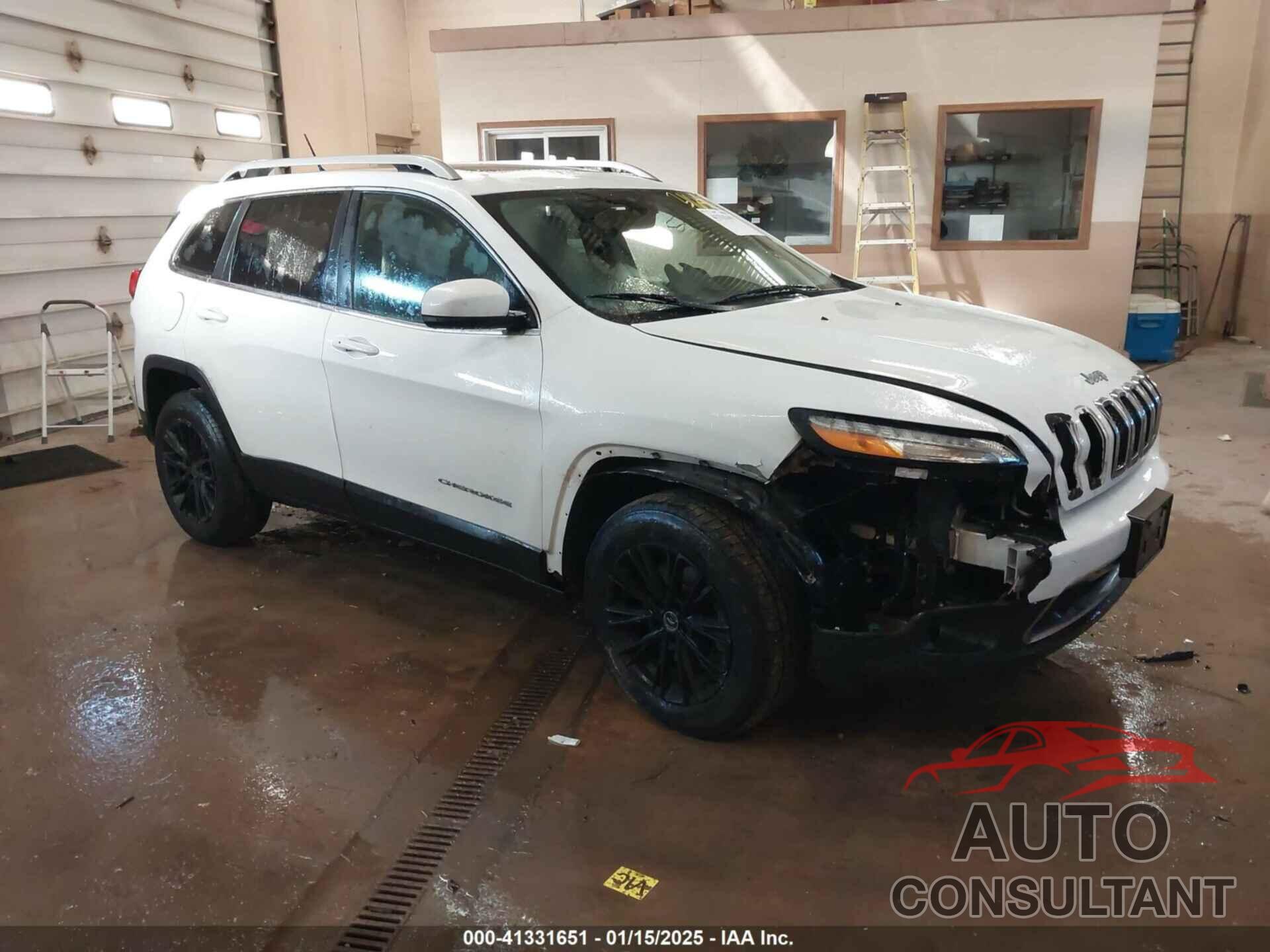 JEEP CHEROKEE 2014 - 1C4PJMDS4EW207817