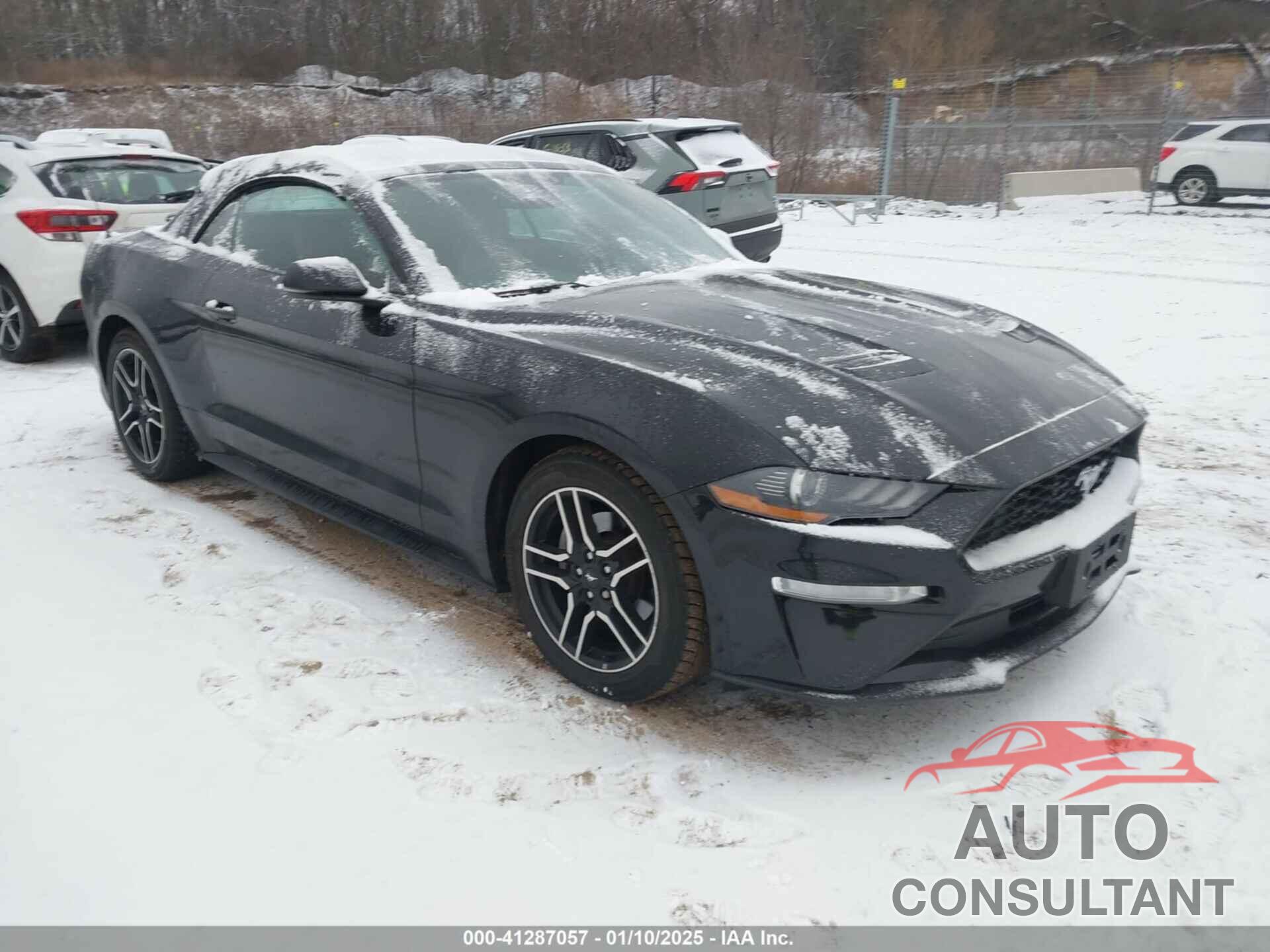 FORD MUSTANG 2019 - 1FATP8UH6K5109632