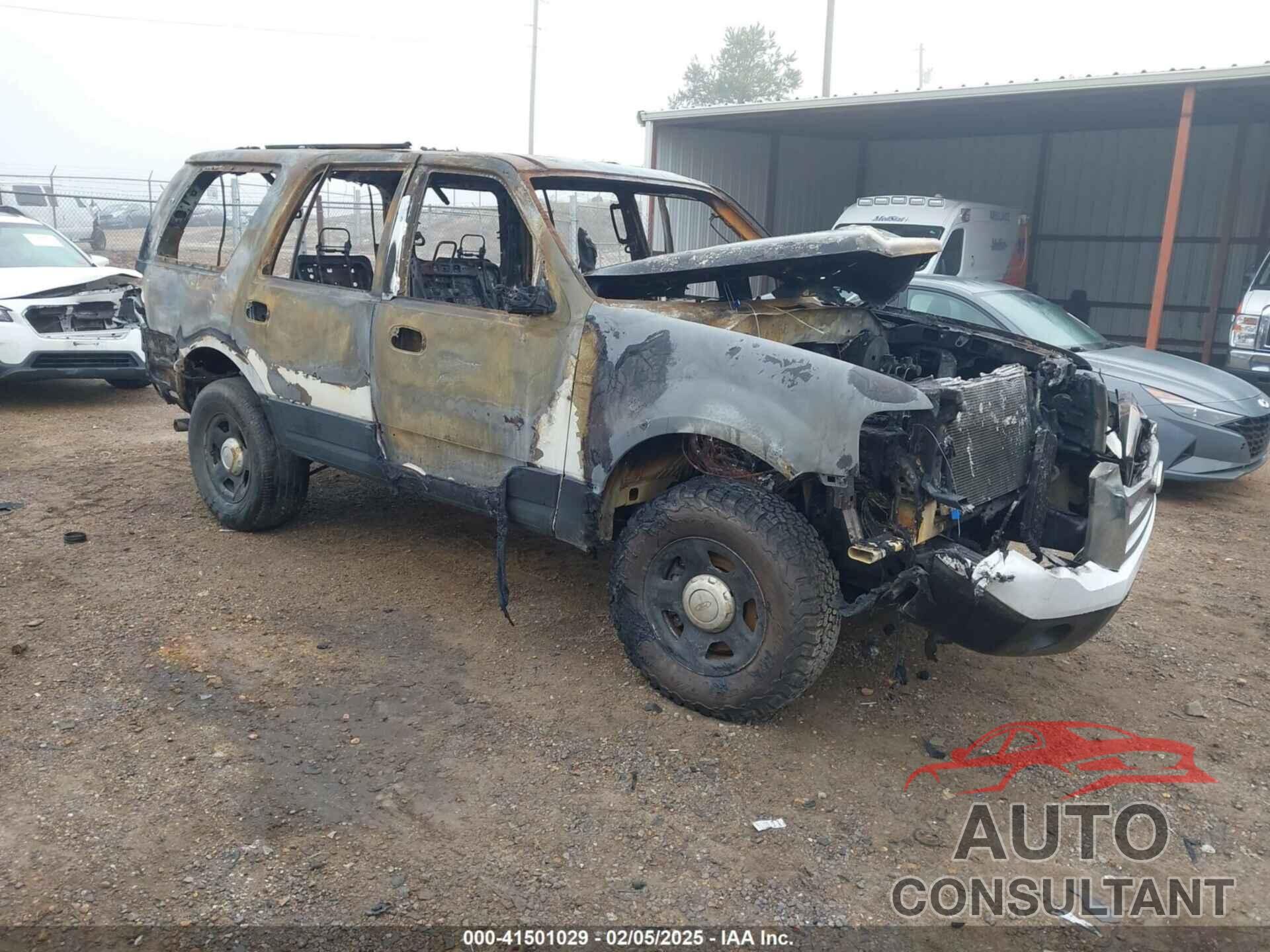 FORD EXPEDITION 2010 - 1FMJU1G54AEB66456