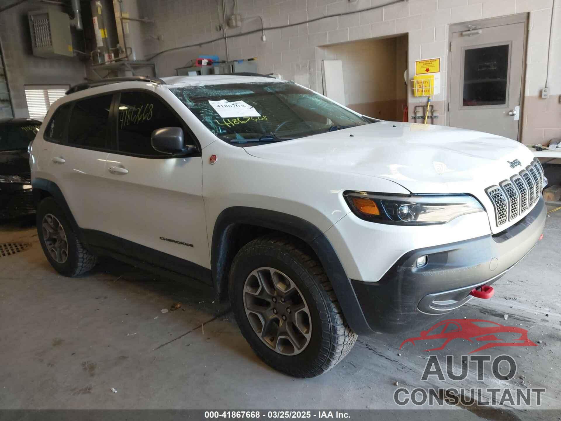 JEEP CHEROKEE 2020 - 1C4PJMBX5LD504439